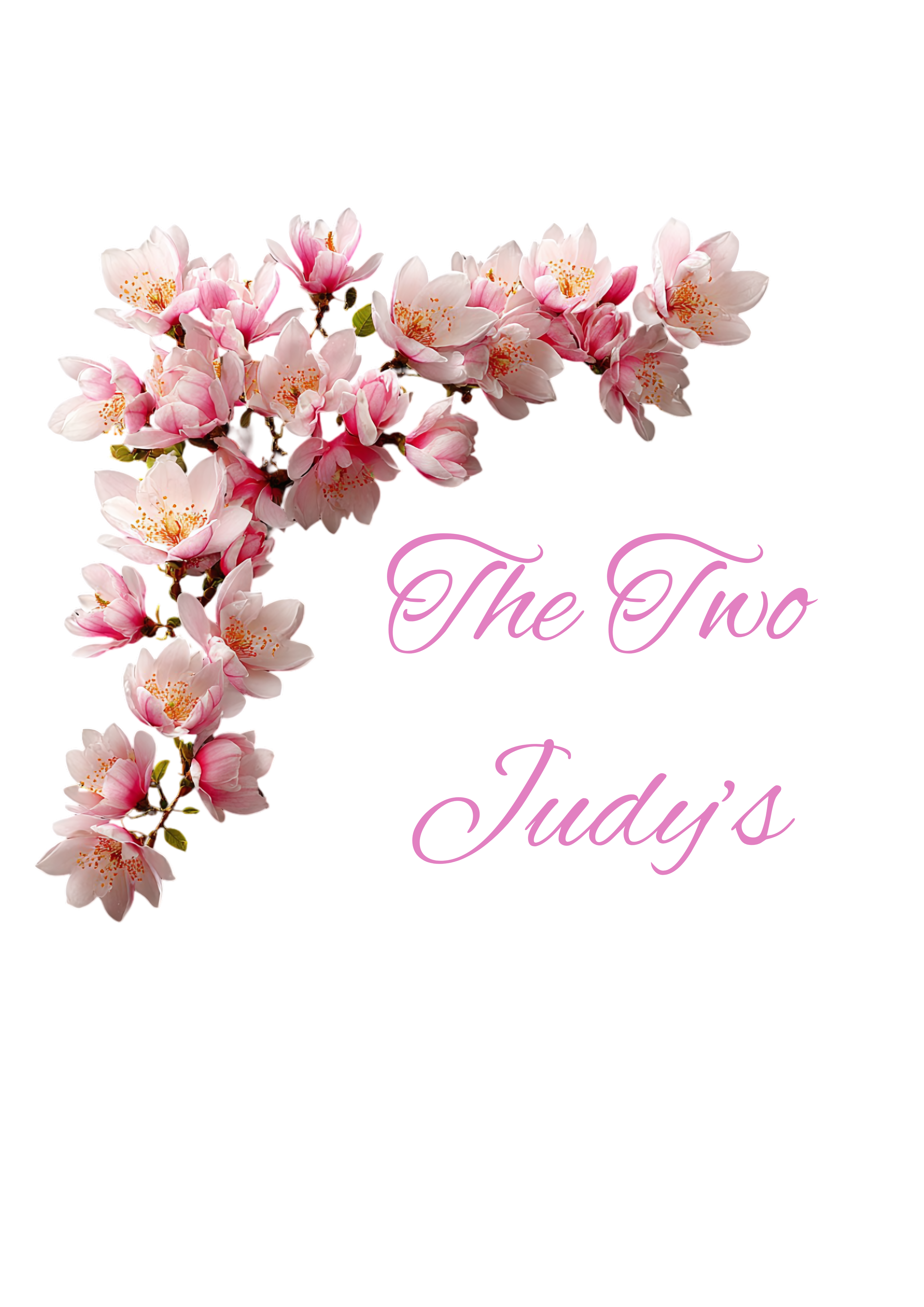 The Two Judy's Sponsor.png