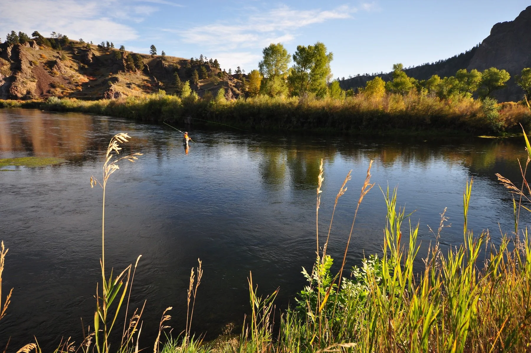 Wednesday and all is well