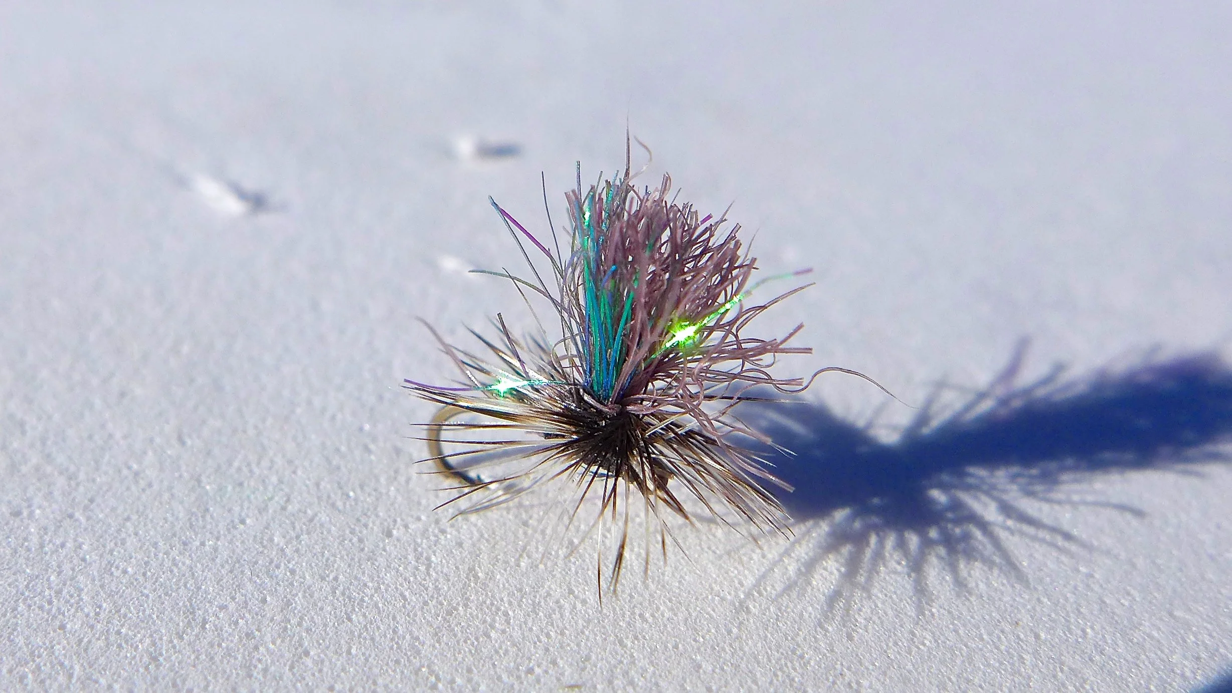 Dry Fly Fishing during the Winter Months?