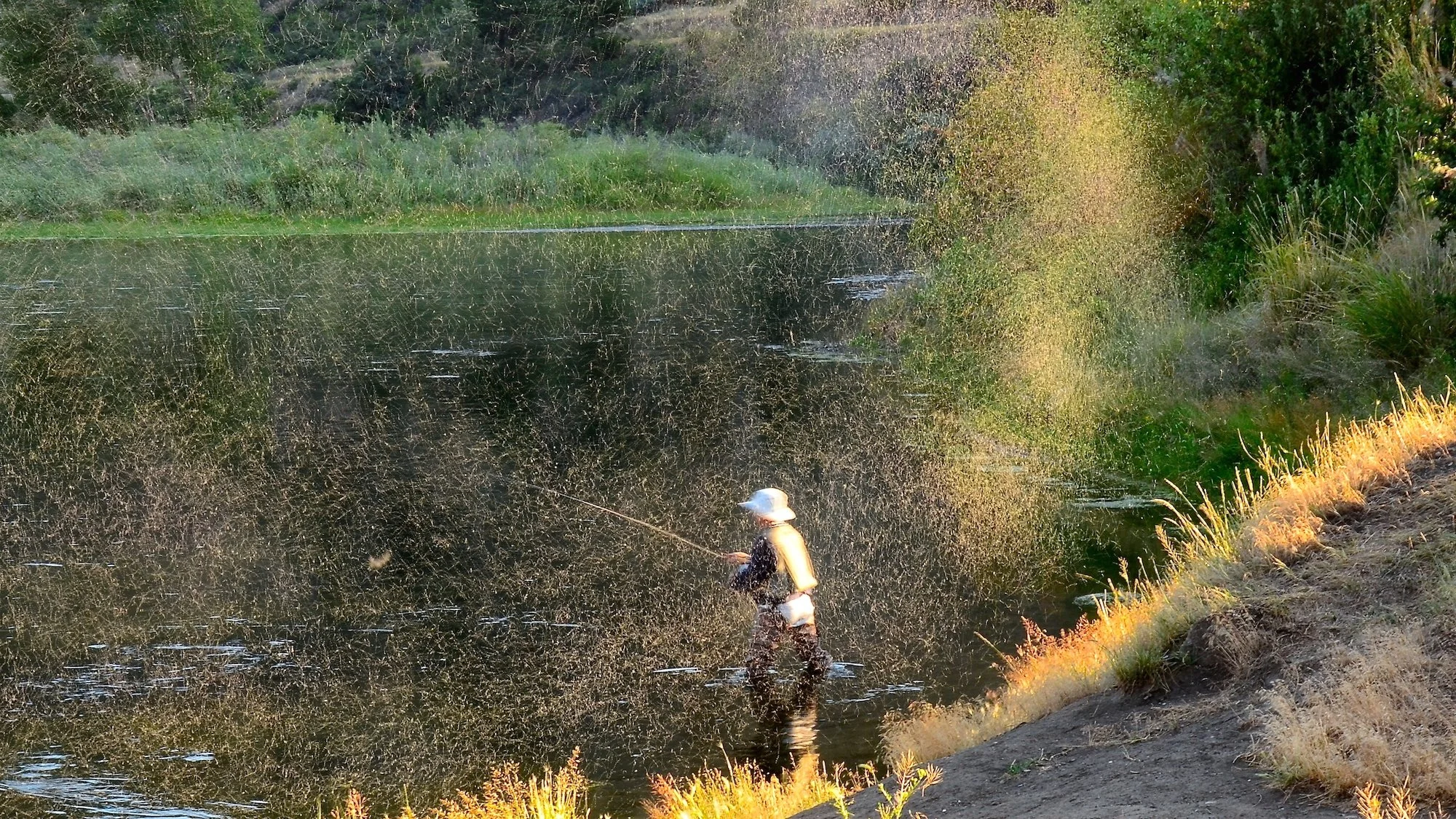 Hot Summer Days on Montana’s Missouri River