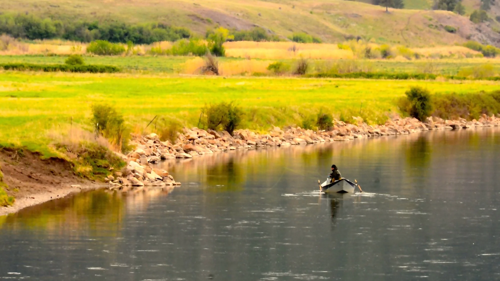 Last week, this week, next week.