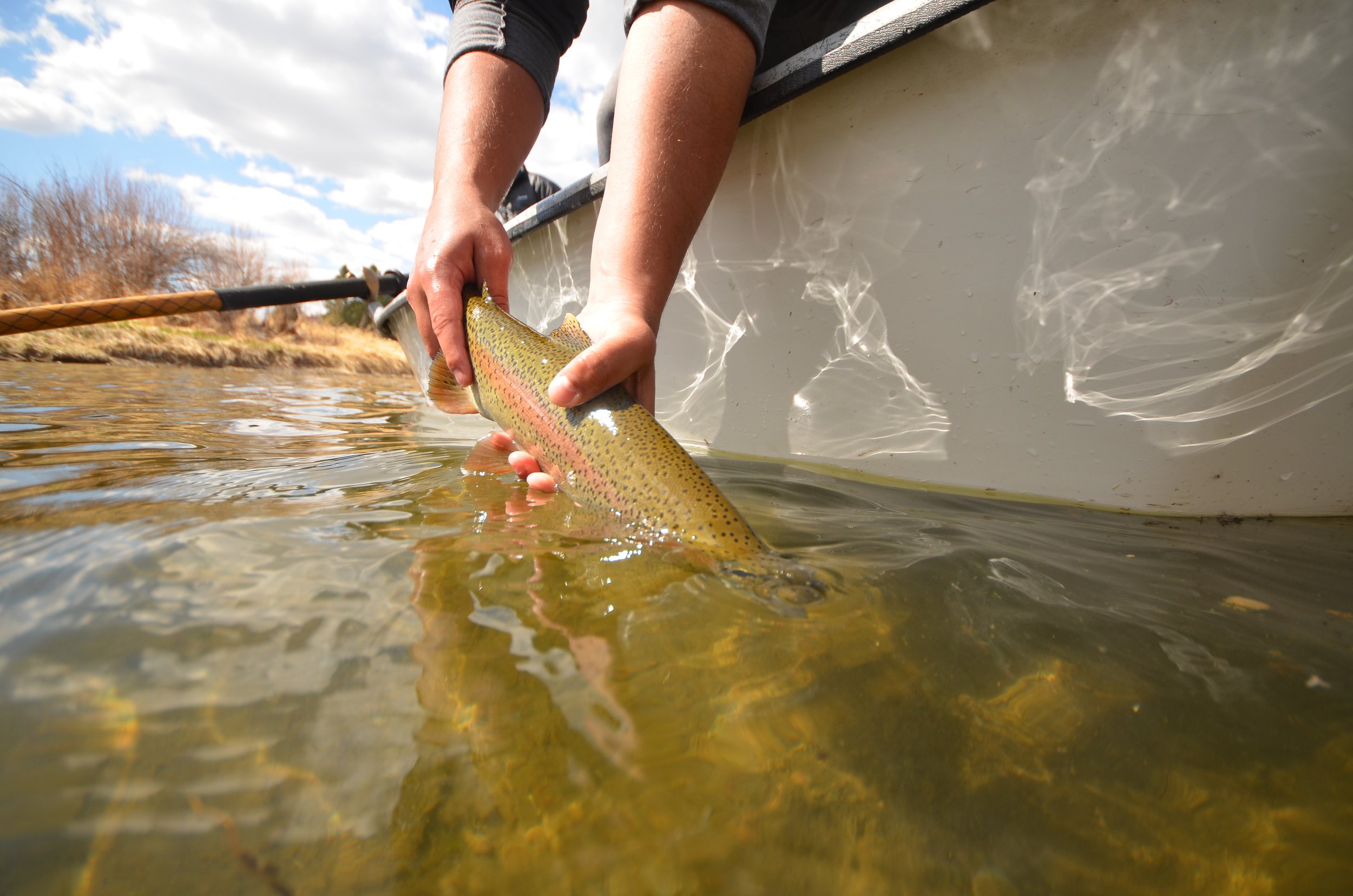 Sunday Checklist for the fishing season ahead!