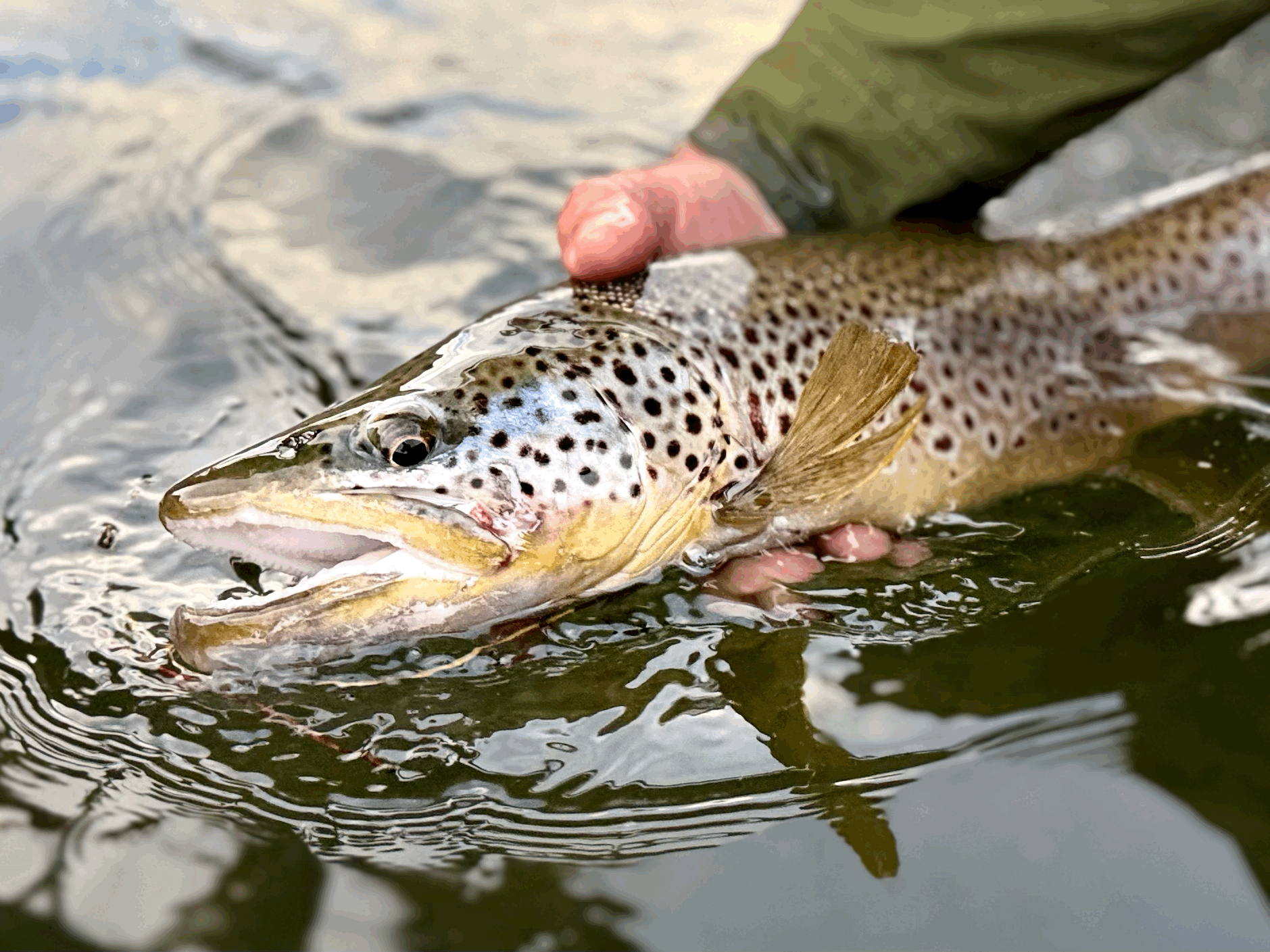 Sunday and All is Well