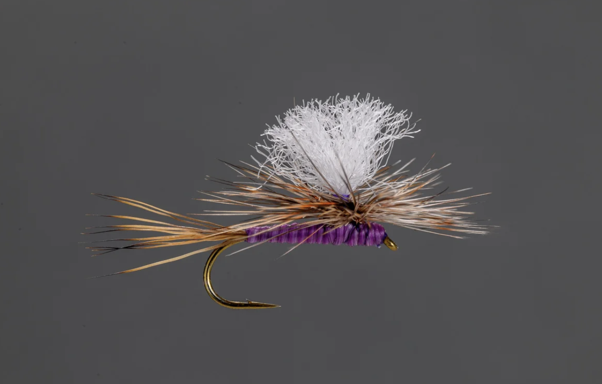 What, Why, and How of Dry-Dropper Fishing Montana’s Missouri River
