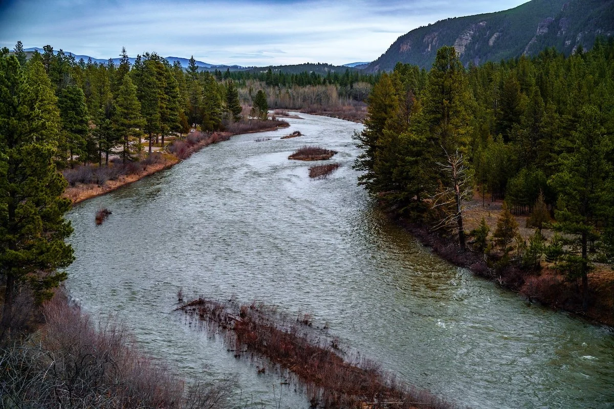 Runoff Starting. Freestones opening Up.