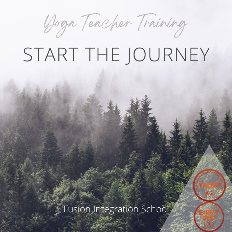 ryt200startthejourneyforest.jpg