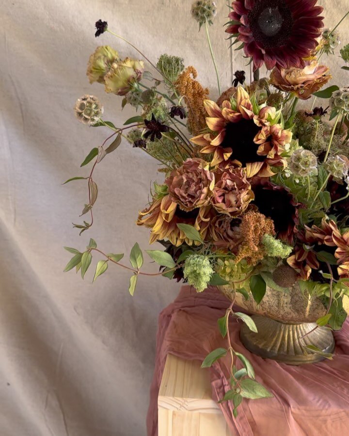 Life is the flower for which love is the honey… - Hugo
.
.
.
.
.
.
.
.
.
.
#flowers #florist #flowersofinstagram #sunflower #art #explorepage #discover #saltlakecity #saltlakecityflorist #weddingflowers #weddingflorist #parkcity