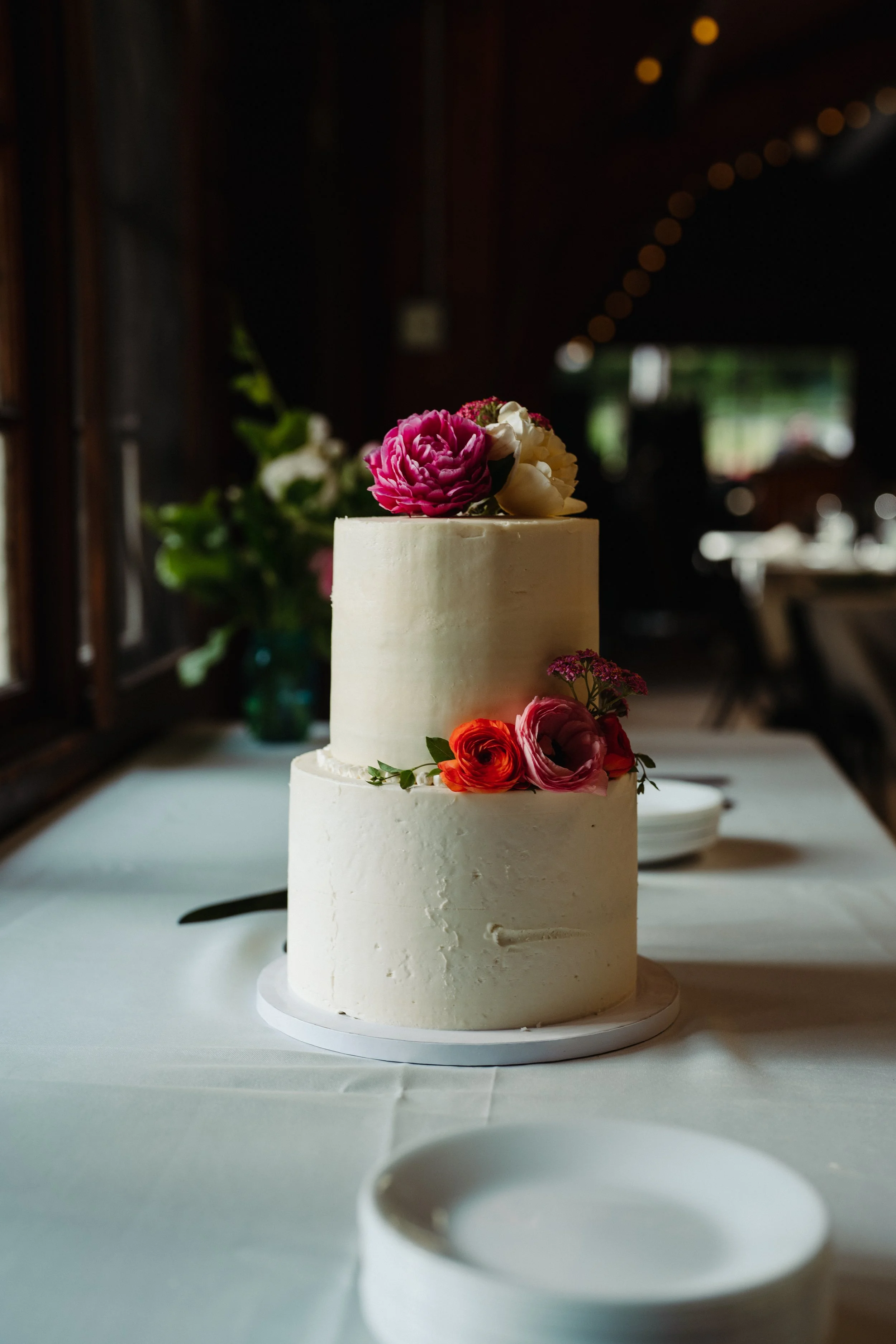 Photos by Orcas Video