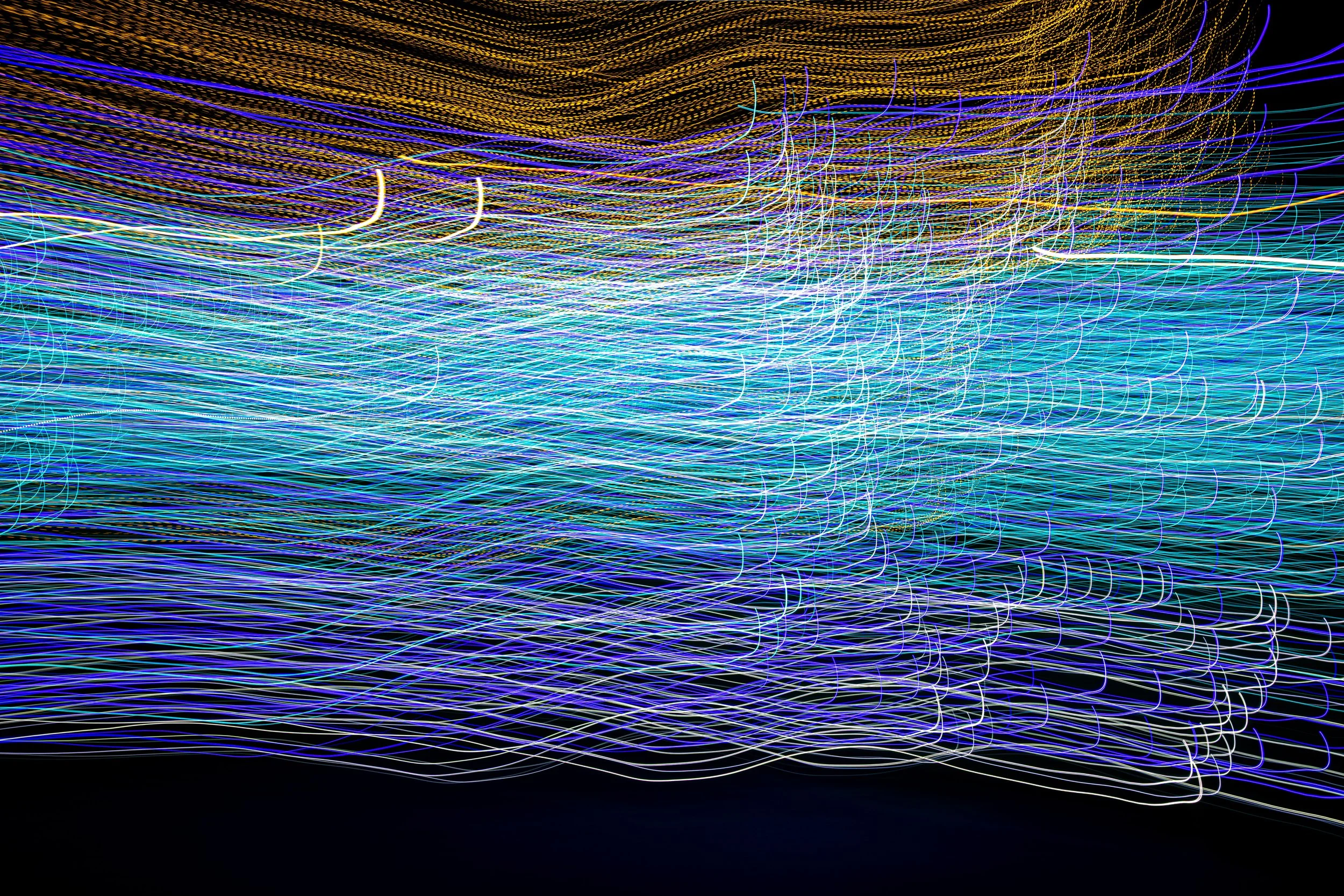 Motion Commotion 30.jpg