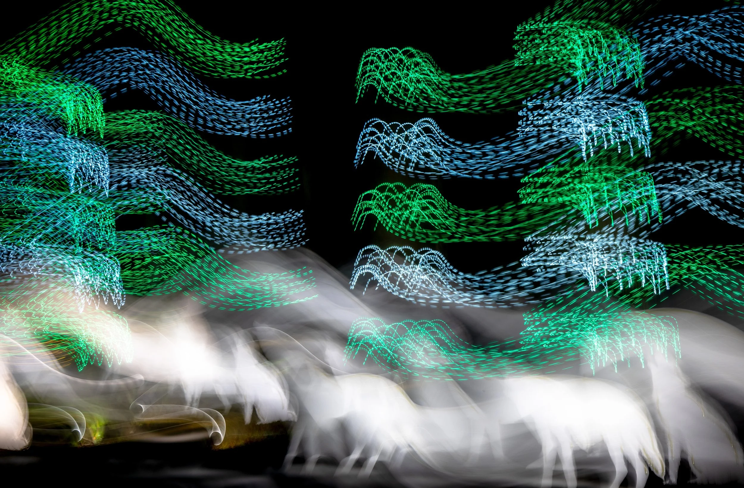 Motion Commotion 13.jpg