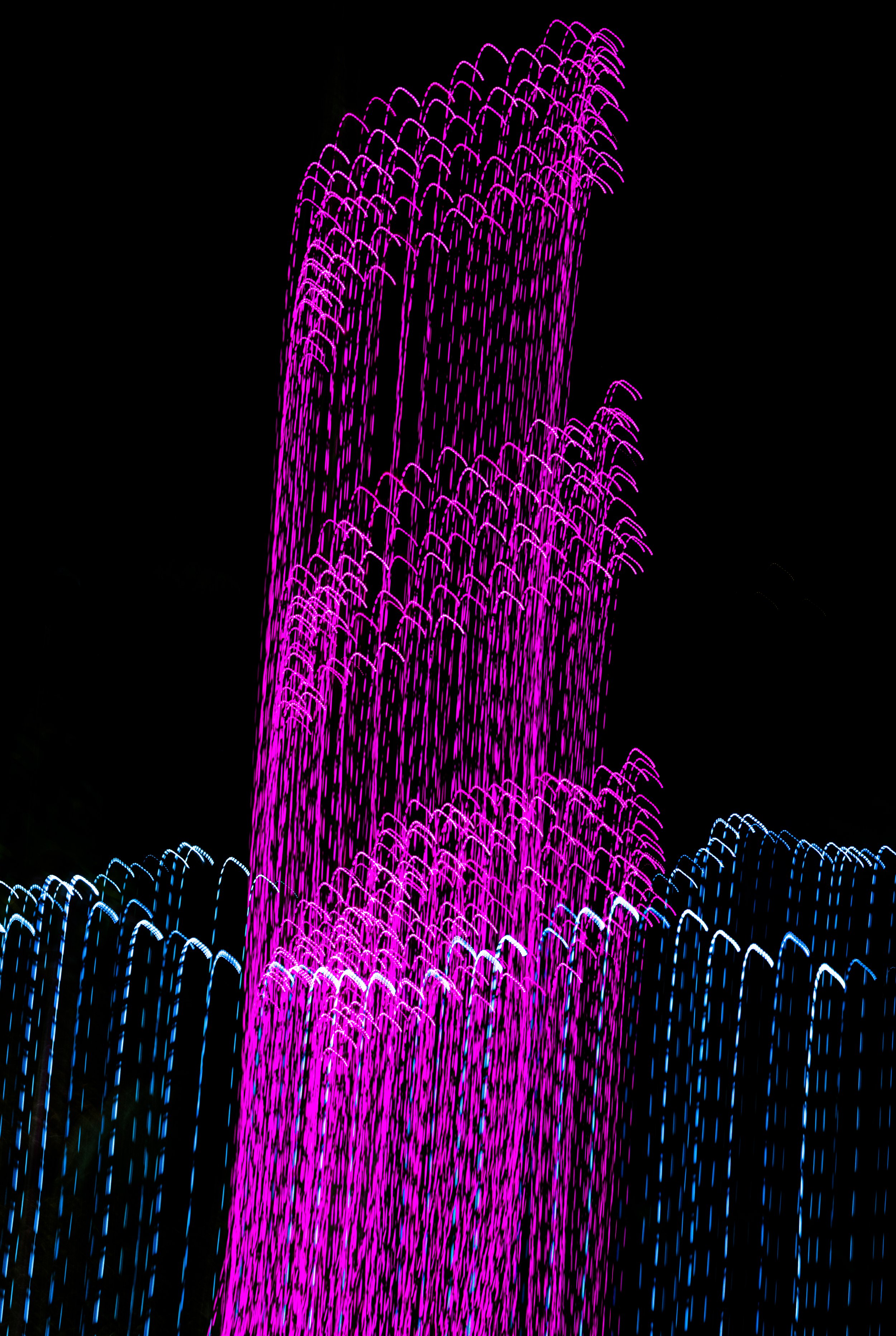 Motion Commotion 43.jpg