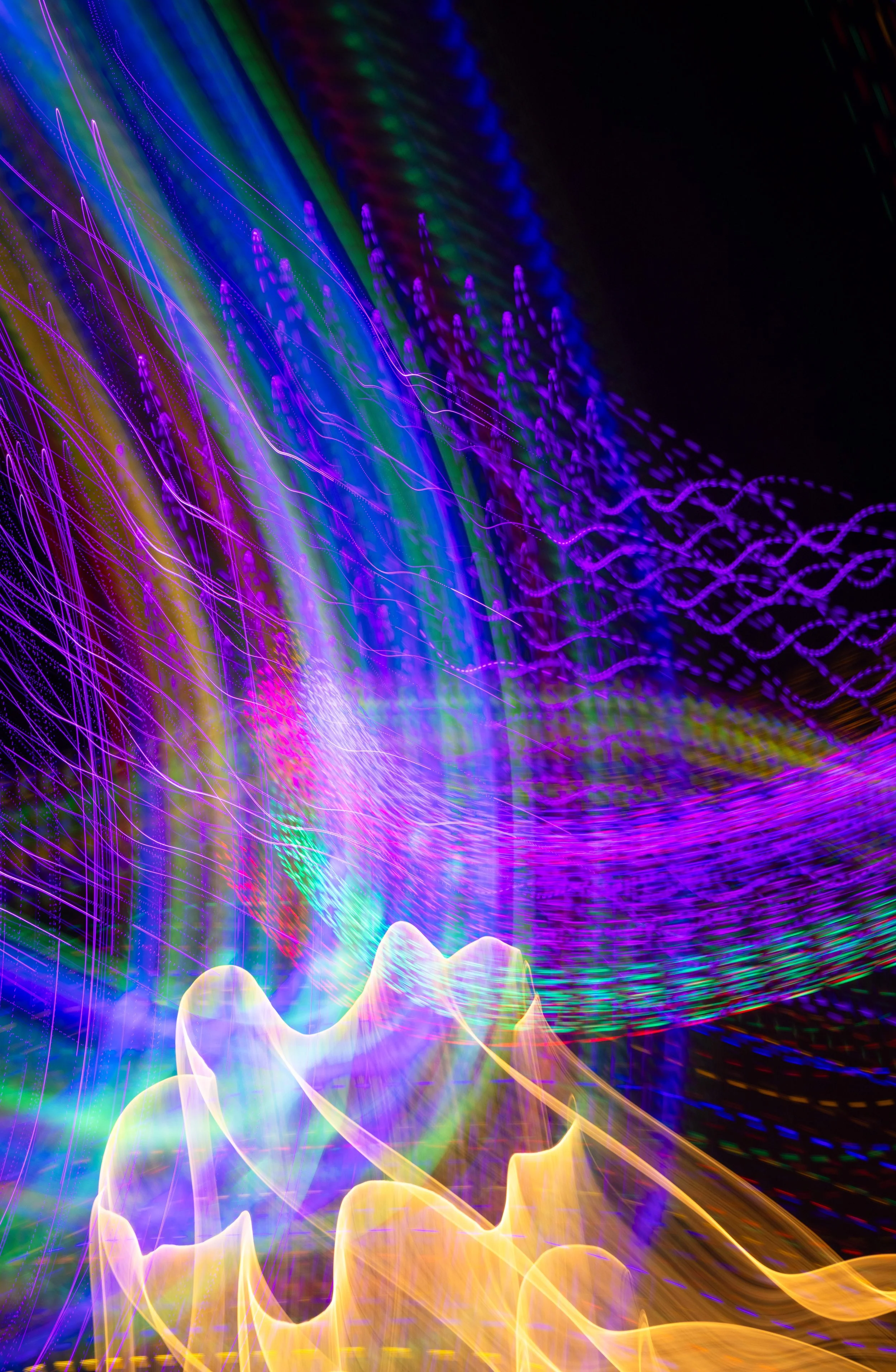 Motion Commotion 17.jpg