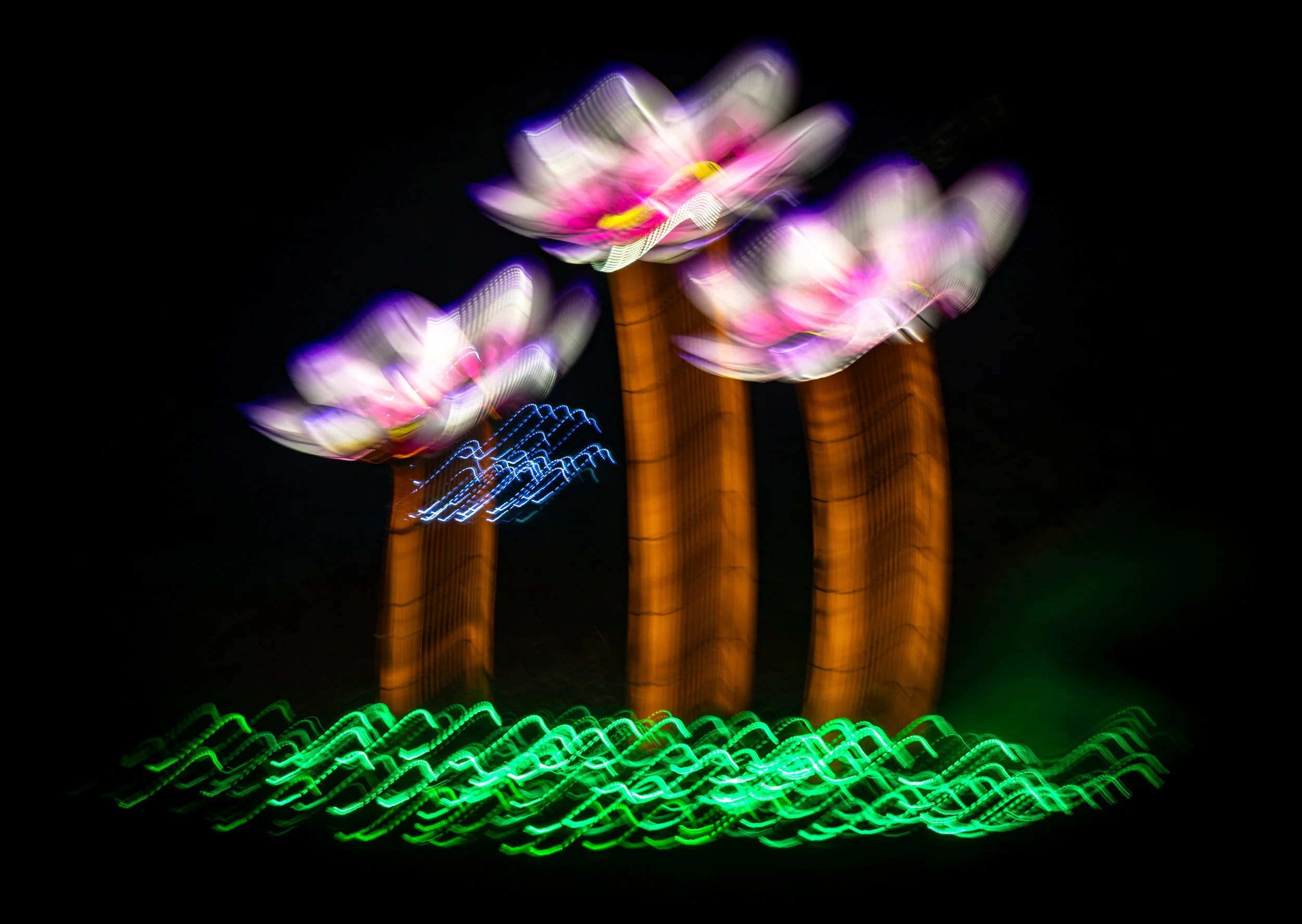 Spires of Floral Light.jpg