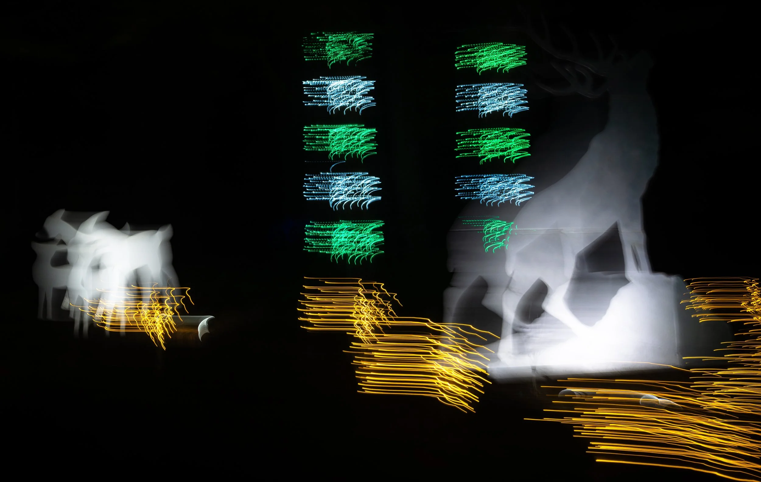 Motion Commotion 14.jpg