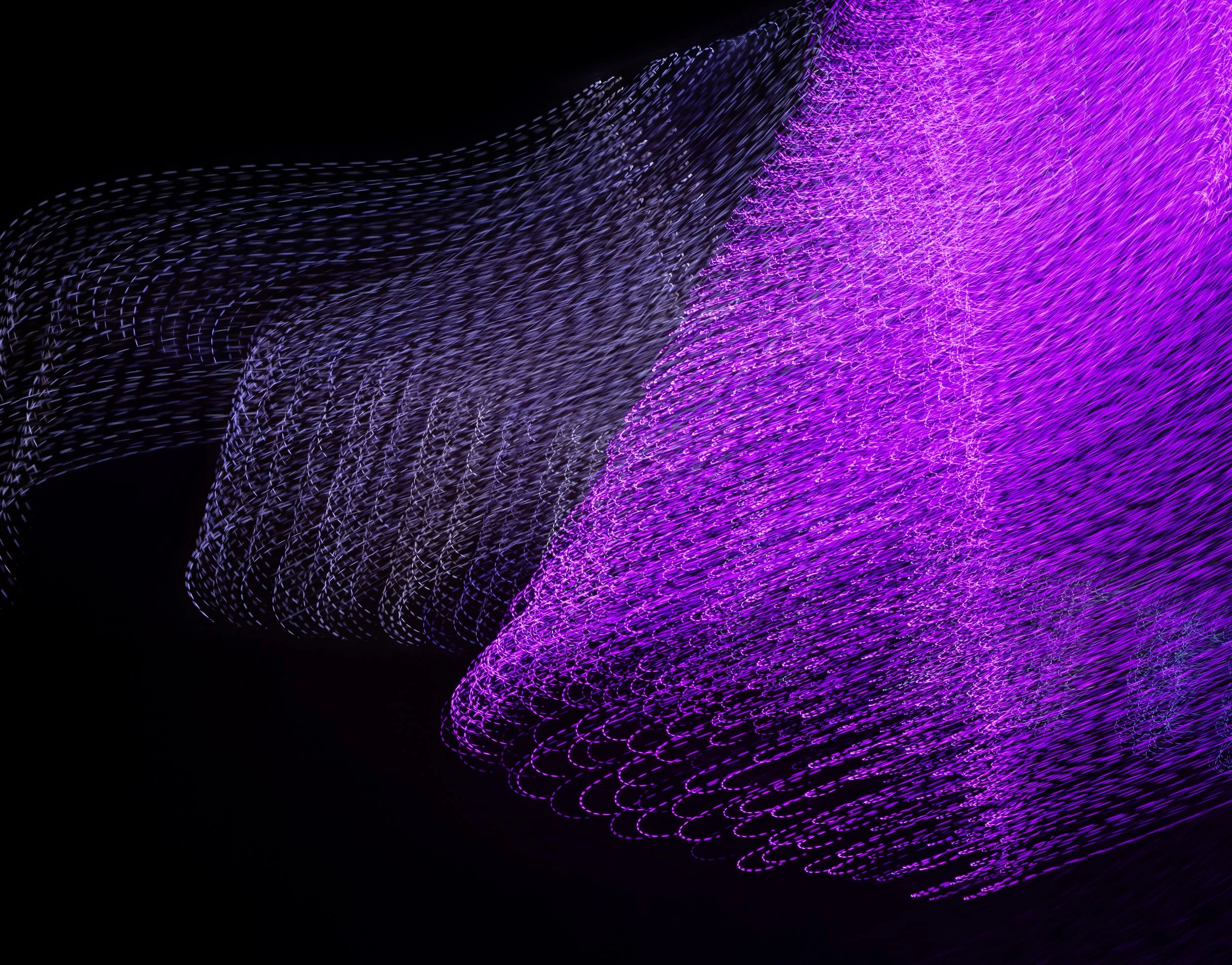 Motion Commotion 46.jpg