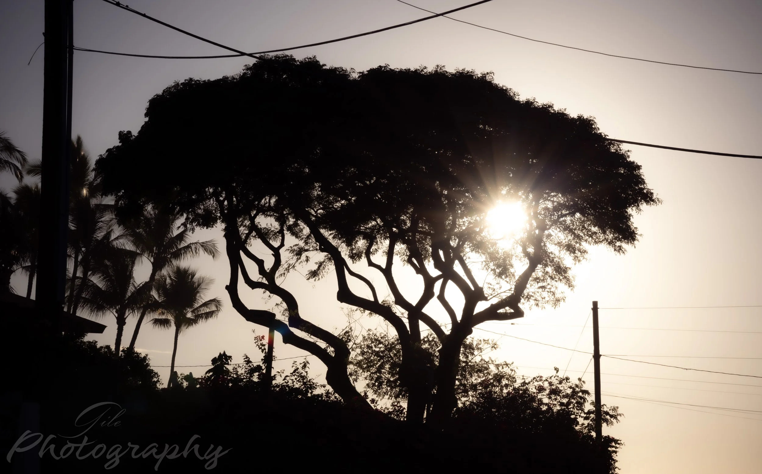 Noho'ana, My Manawa in Hawai'i