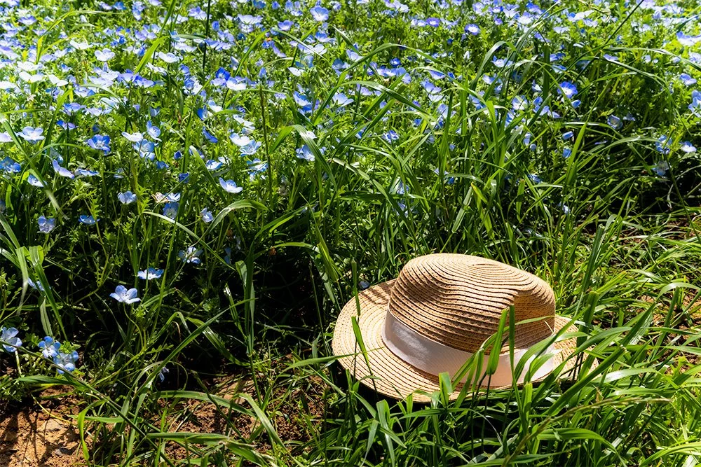 12 Boushi to Rurikarakusa.jpg