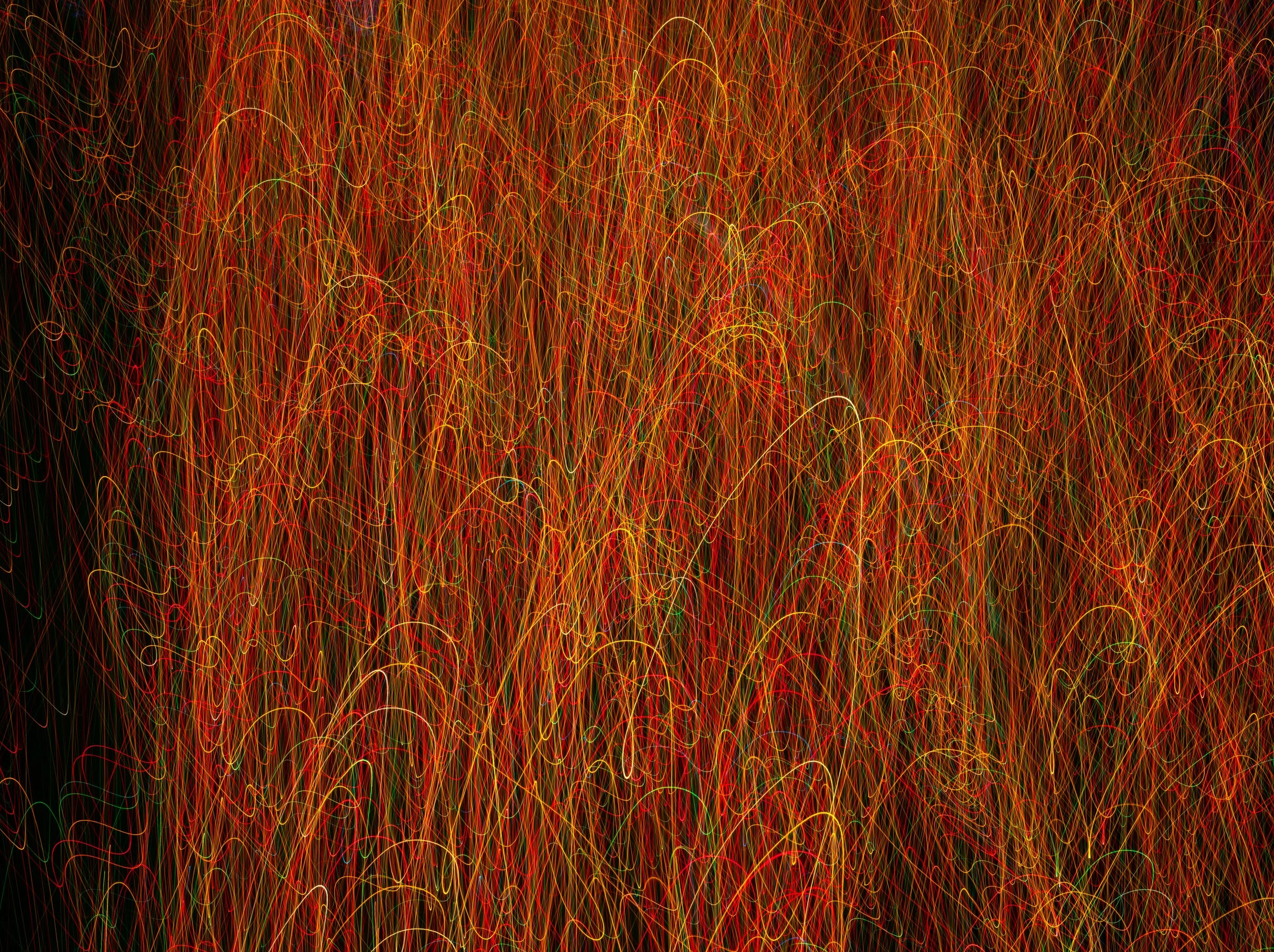 Motion Commotion 6.jpg