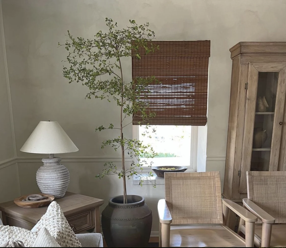 Lime Wash - Cavalier