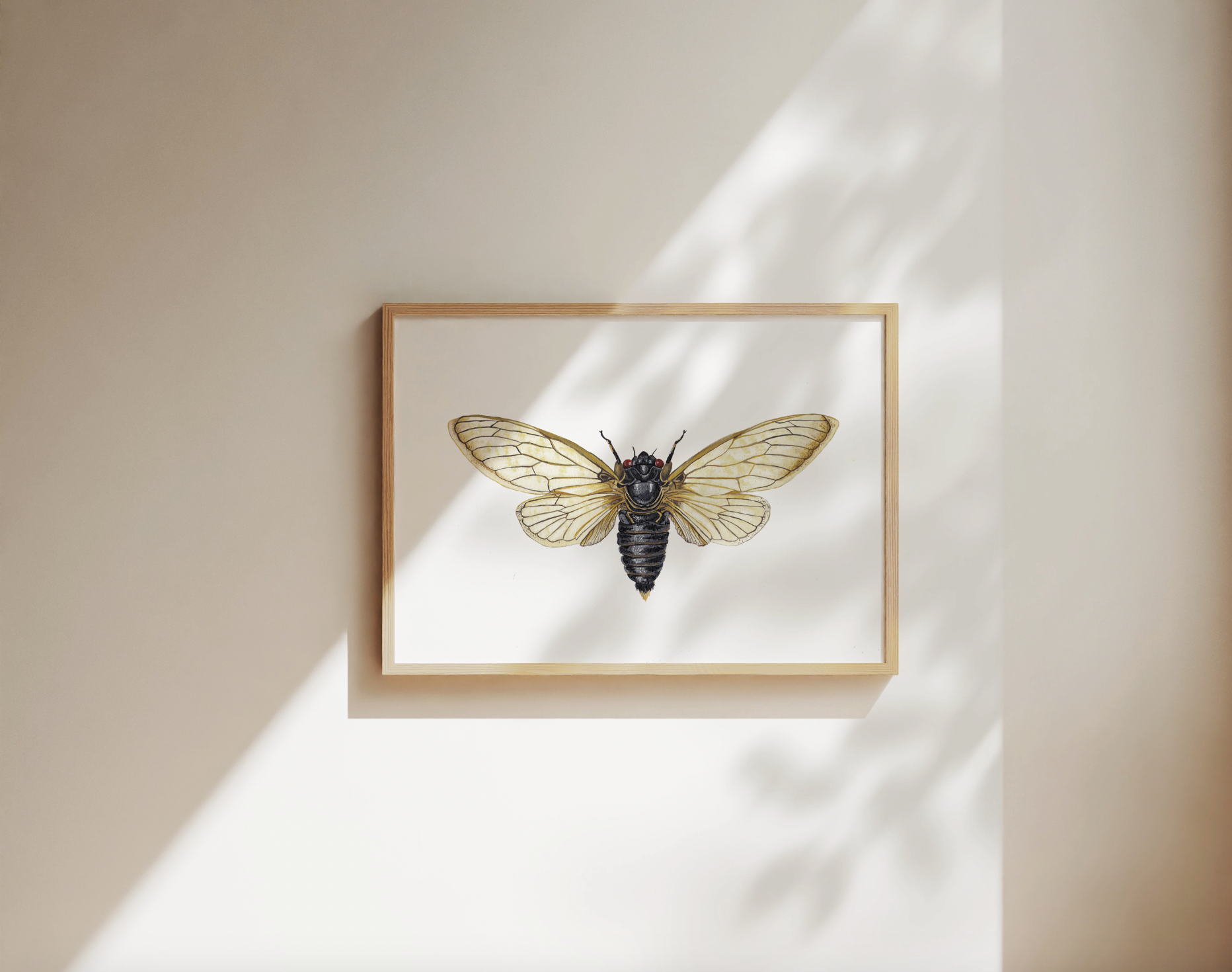 Cicada Summer