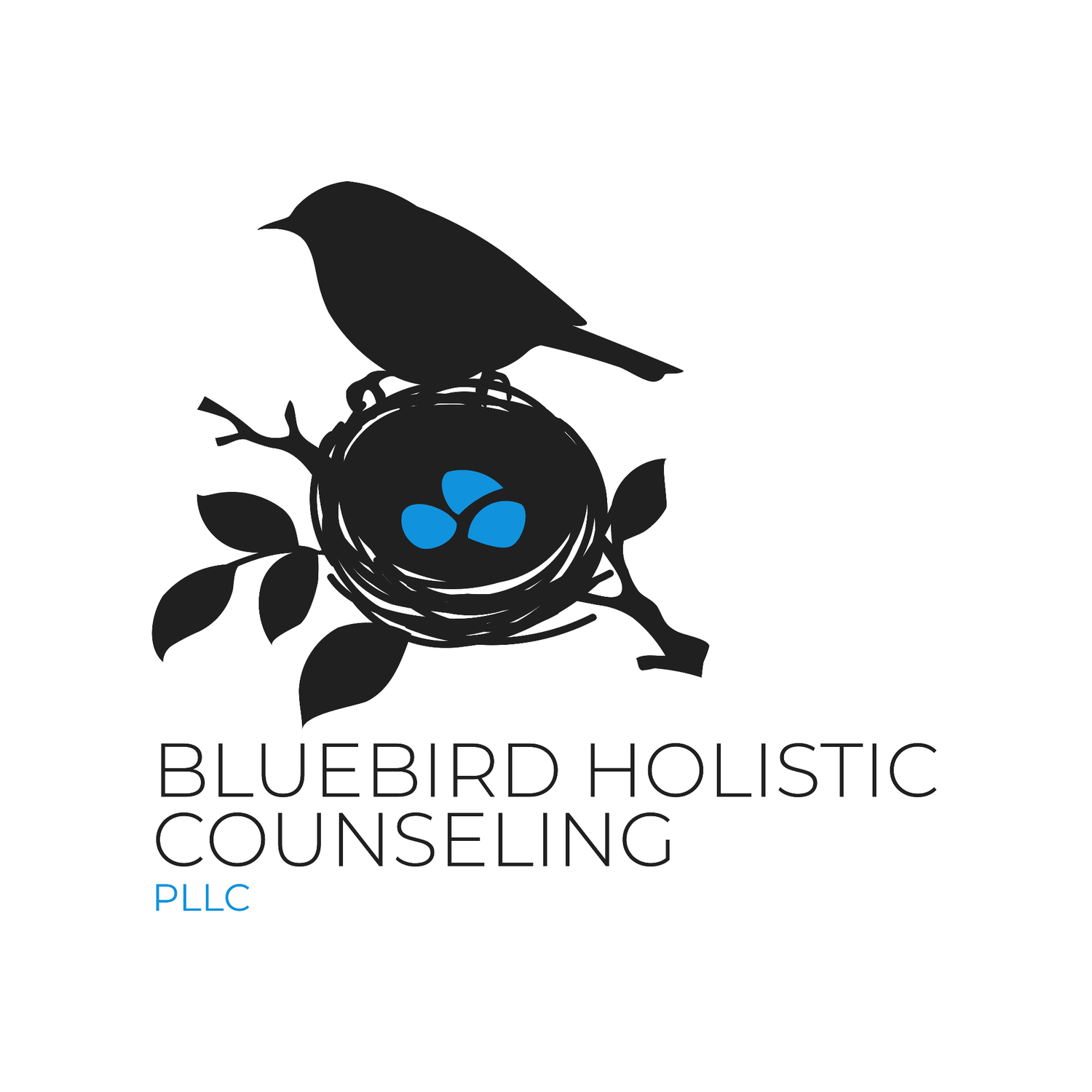 Bluebird Holistic Counseling, PLLC