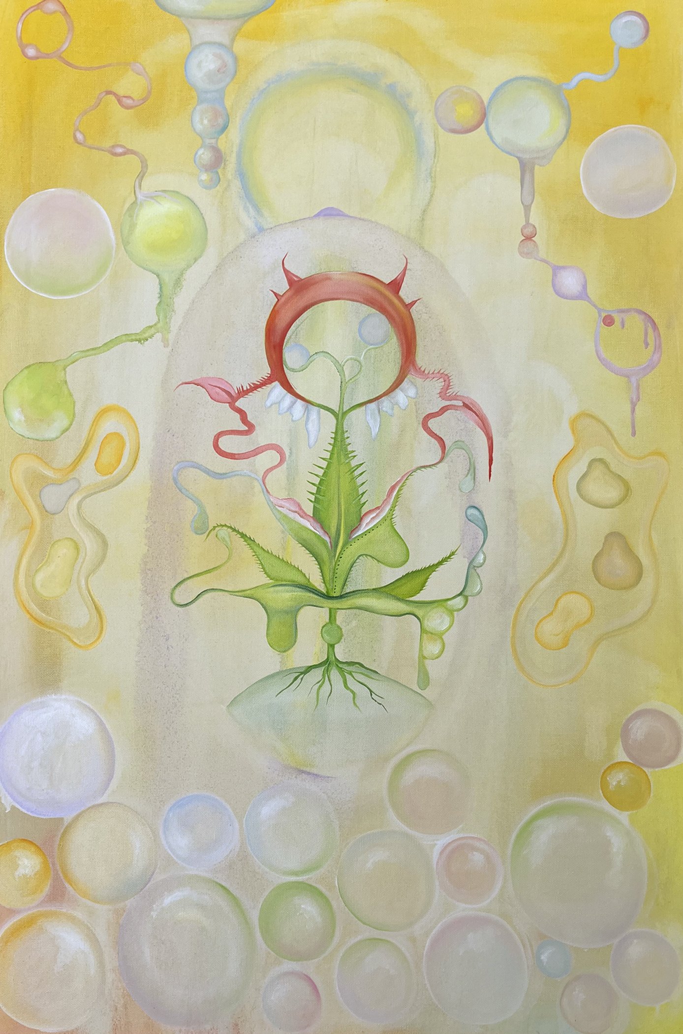 We Grow in Circles