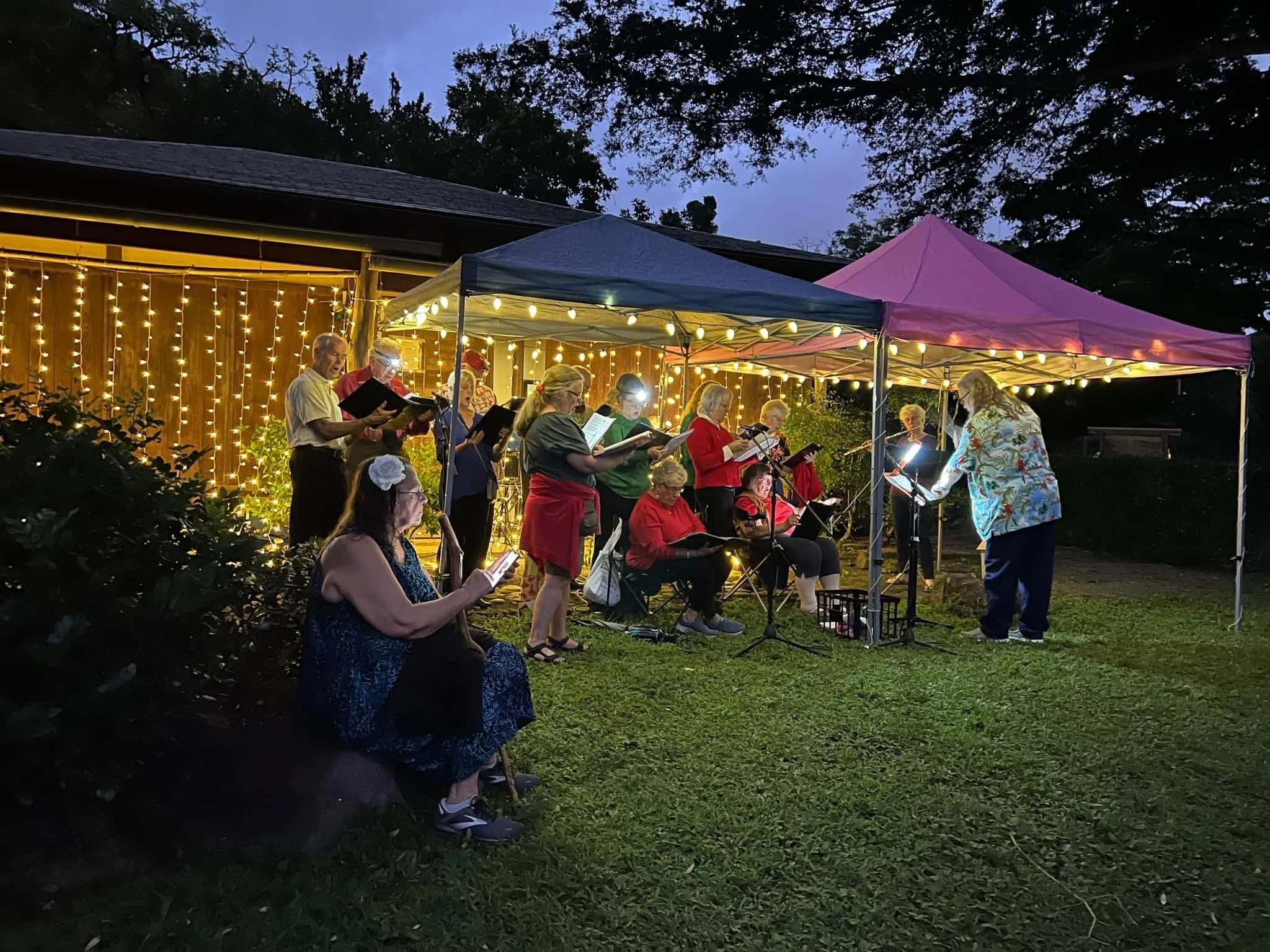 Volunteer Day - Set up Lights