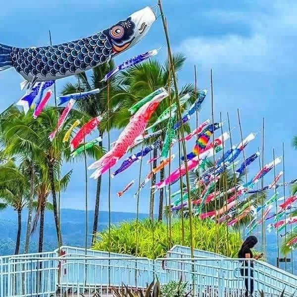 Koinobori 