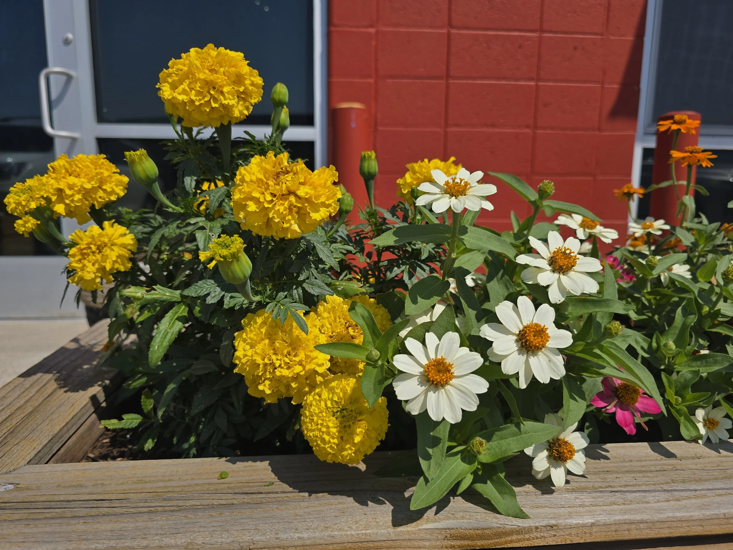 Fall Equinox Practice and Gathering