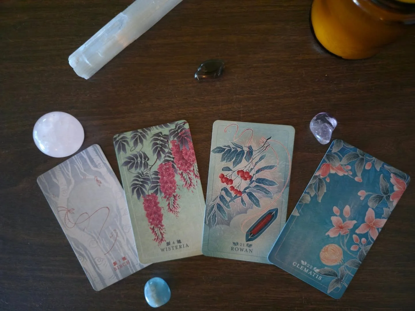 A supportive set of cards for tonight's Reiki session 🤍

Birch, for strength in overcoming obstacles.
Wisteria, for self trust.
Rowan, for hope.
Clematis, for letting go.
