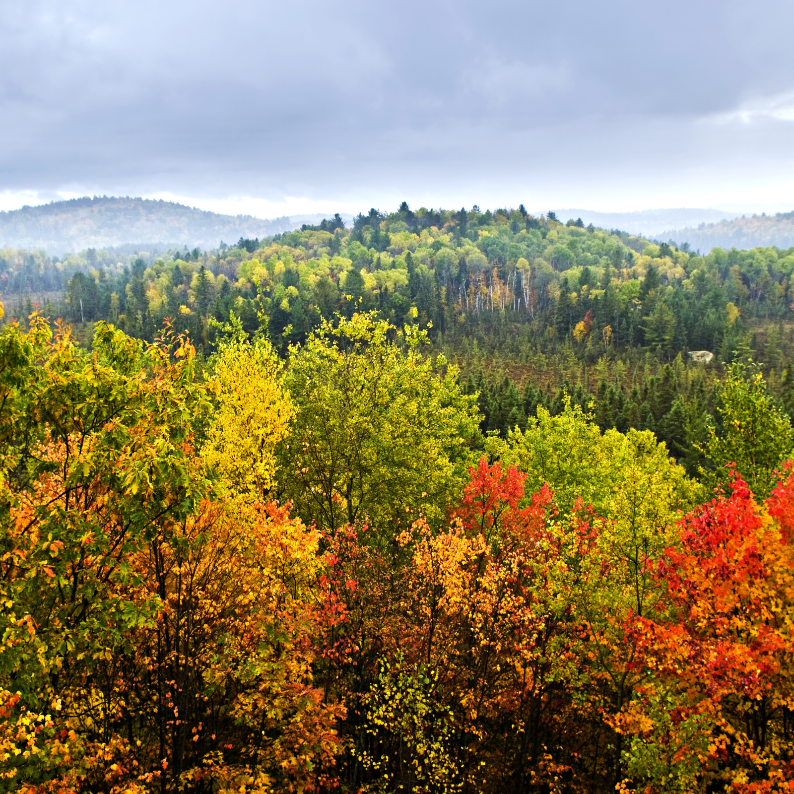 Free Community Flow for Fall