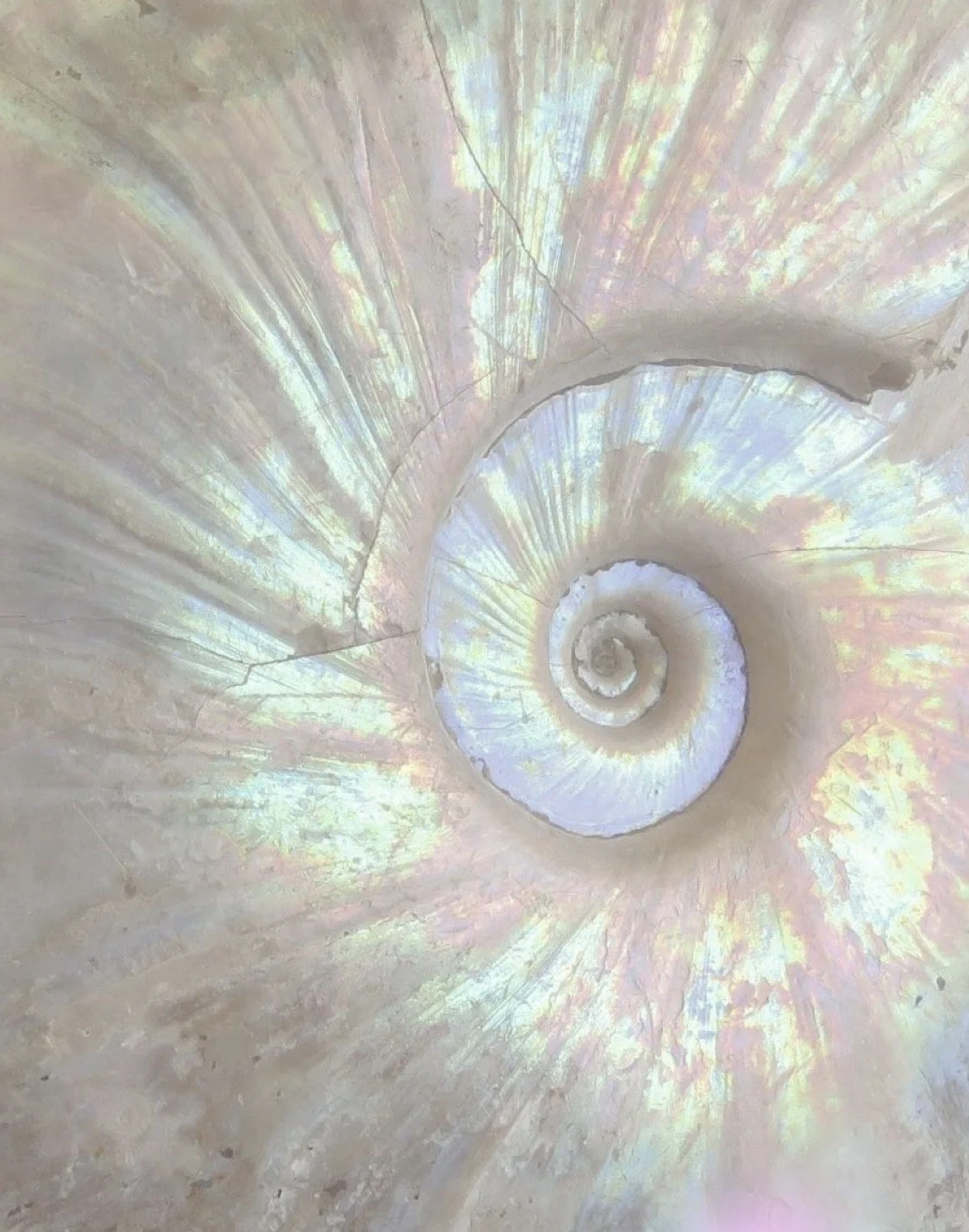 A Call for Mentorship in Psychedelic Spaces