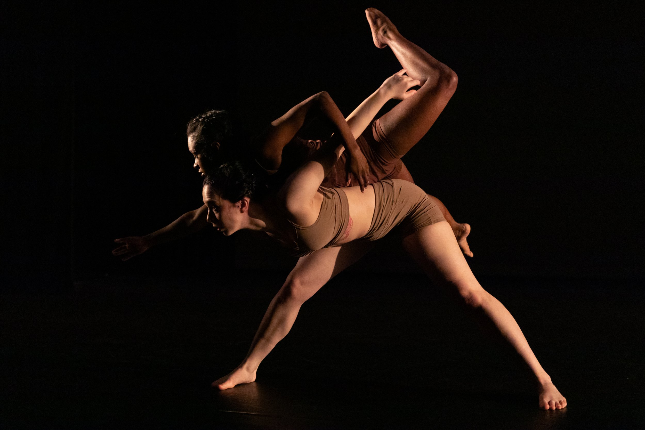 Photo by Bill Gorman