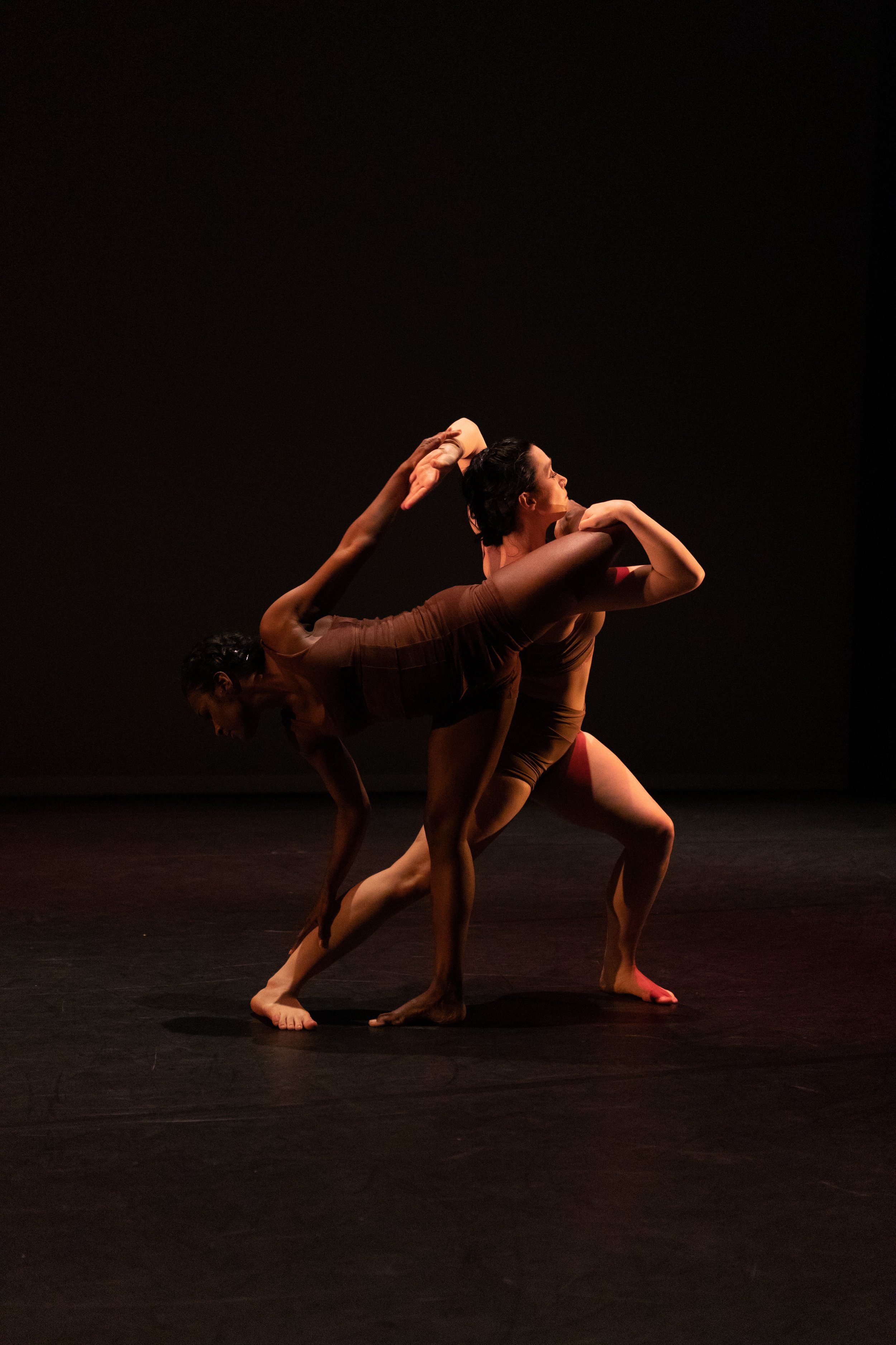 Photo by Bill Gorman