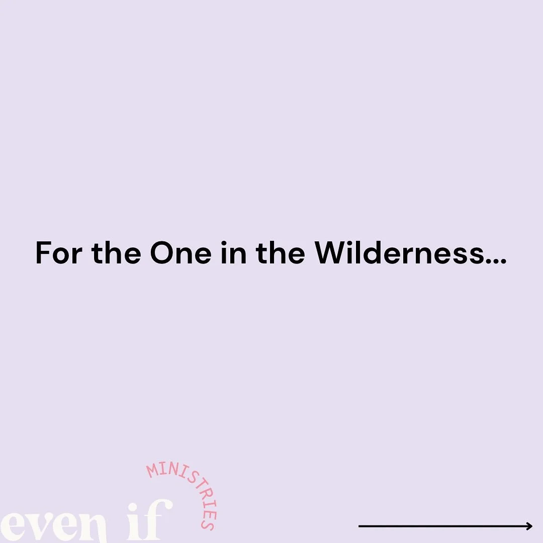 For the one in the wilderness, take what you need.🌿
This season is not wasted.
The wilderness is a place of preparation.
Perhaps the Lord is preparing you for something new.
Faith is refined in the hidden places,
so take heart.🖤
.
.
.
#faith #wilde