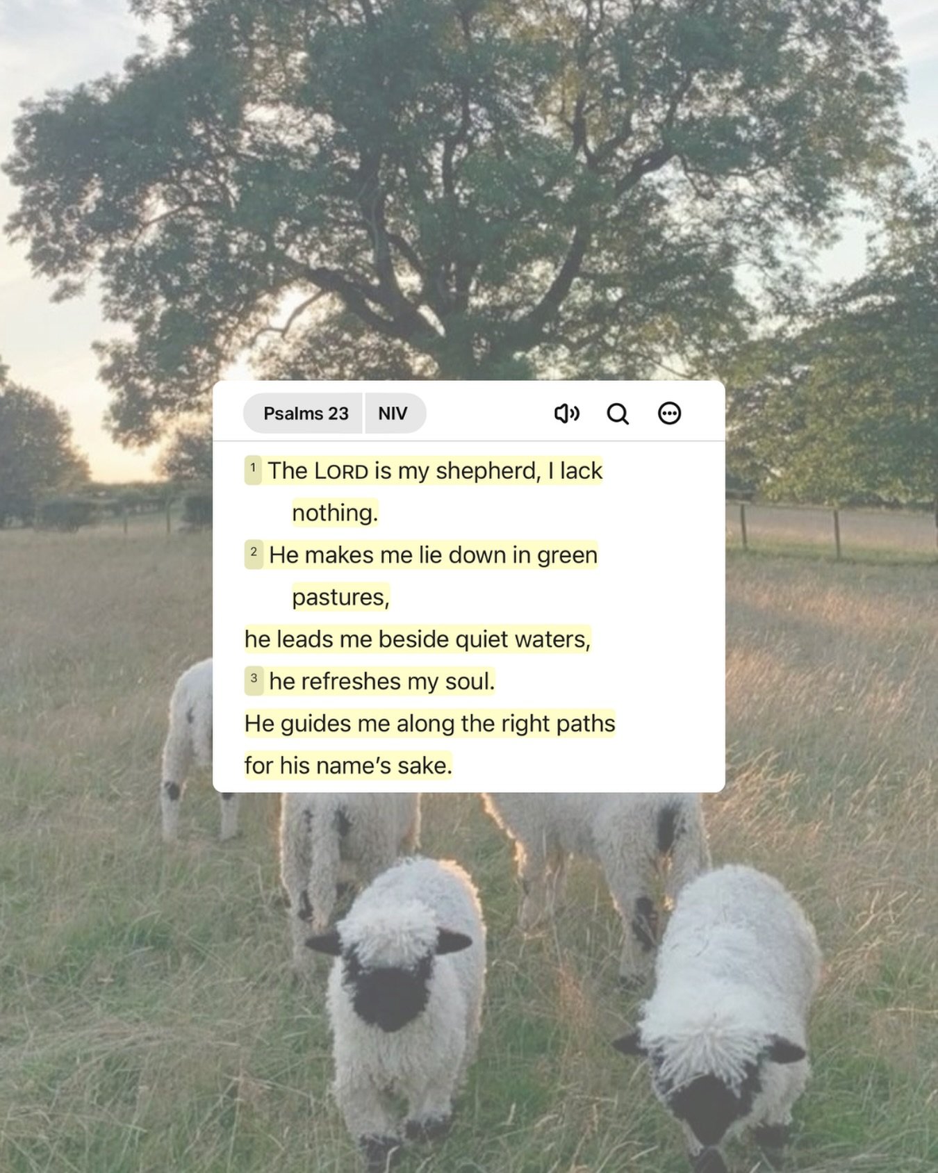 Sometimes the greatest reminder is that we don&rsquo;t have to strive for everything on our own.🐑

The Shepherd leads us to rest, provides what we need, and restores what life has worn down. Even when the pace of life feels overwhelming, He gently l