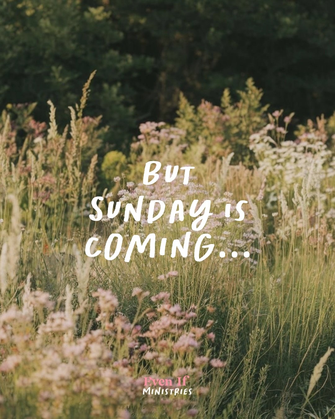 It&rsquo;s a really Good Friday🤍

&ldquo;He Himself bore our sins in His body on the cross, so that we might die to sins and live for righteousness...&rdquo; 
1 Peter 2:24

#jesus #easter #goodfriday