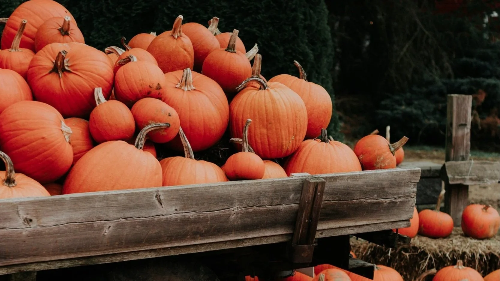 Games. Food. Fun. <br/a> 2025 Fall Festival