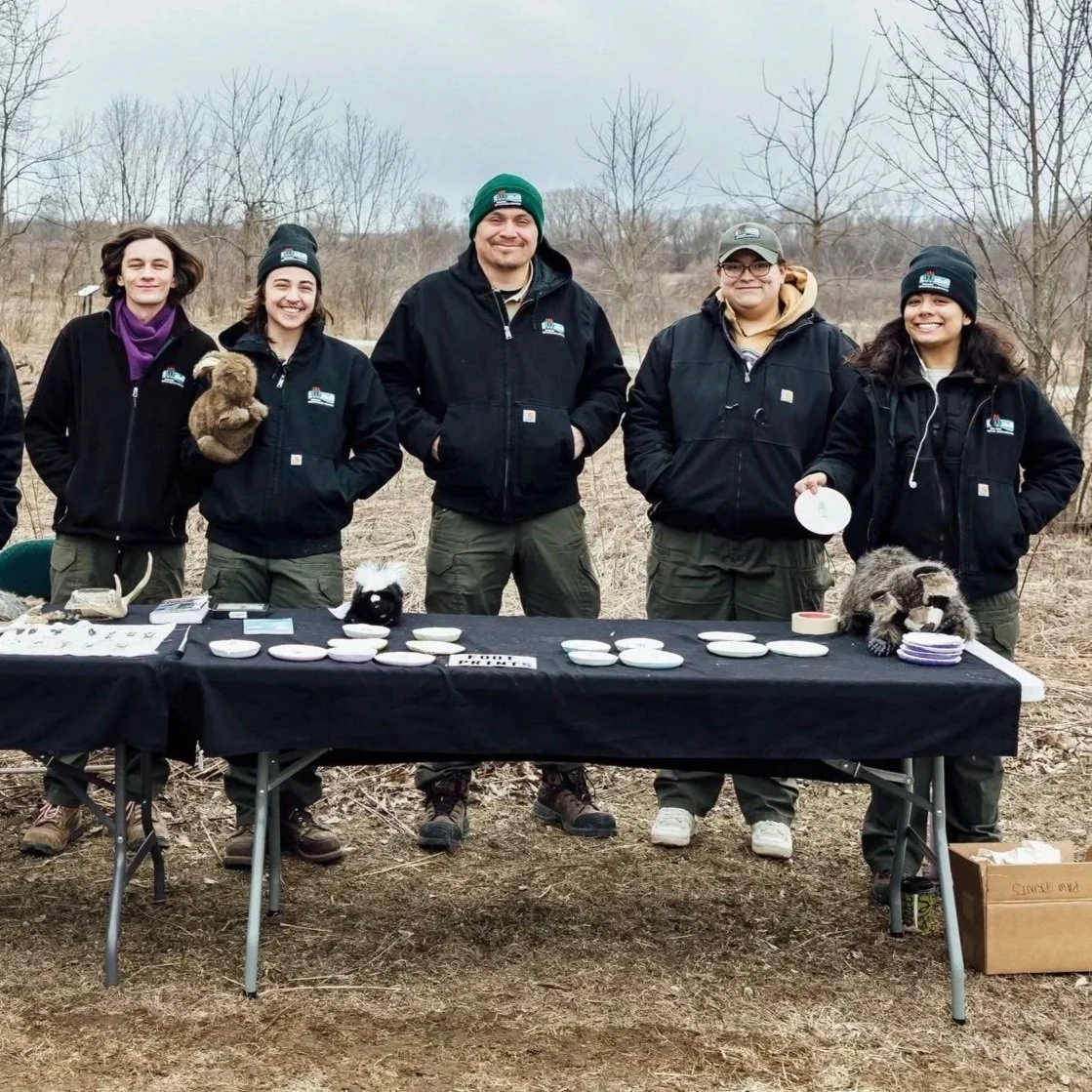 The snowy ground, scattered with plaster molds of the front feet and back feet of an unknown medium animal.