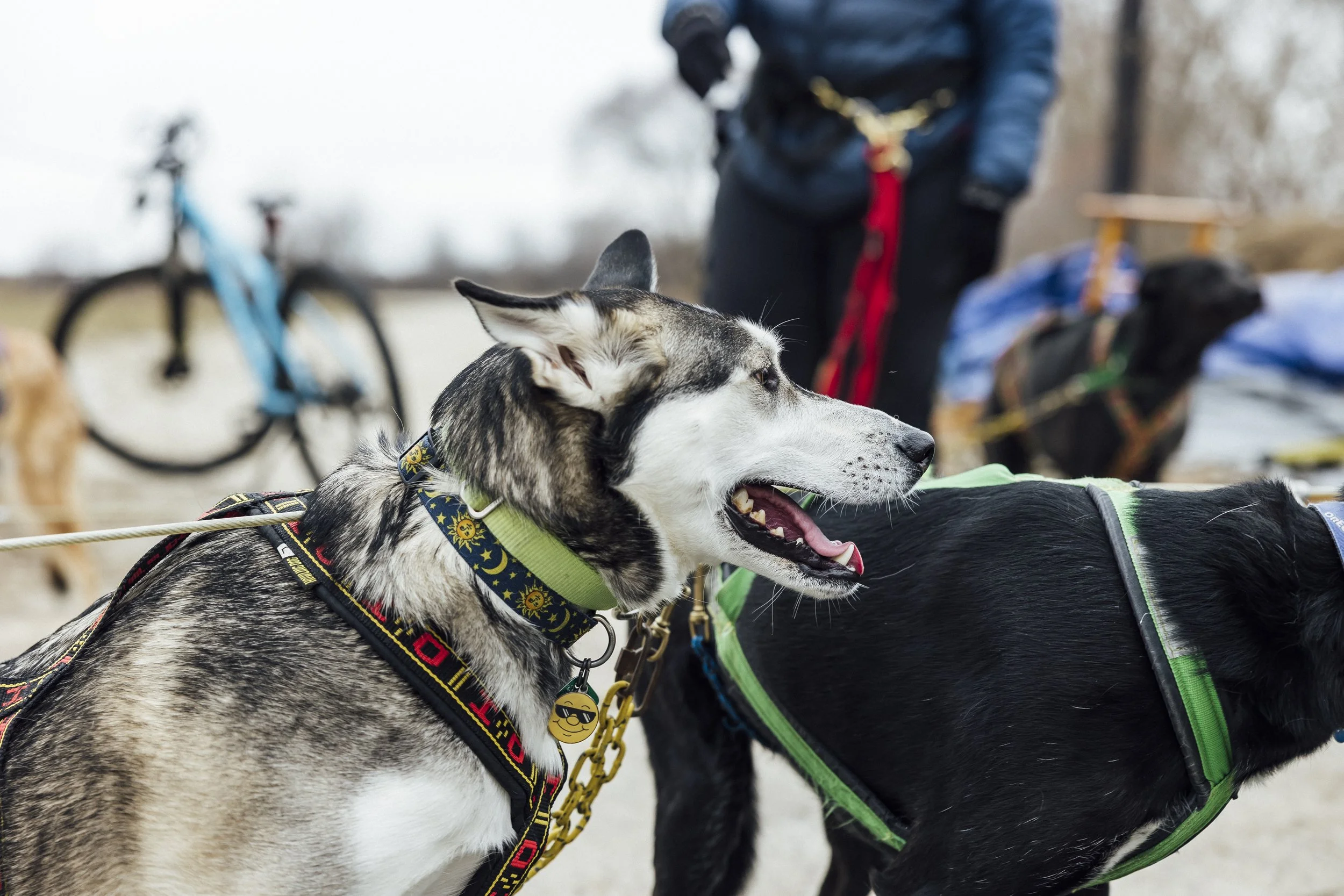 MKE winter break -119.jpg