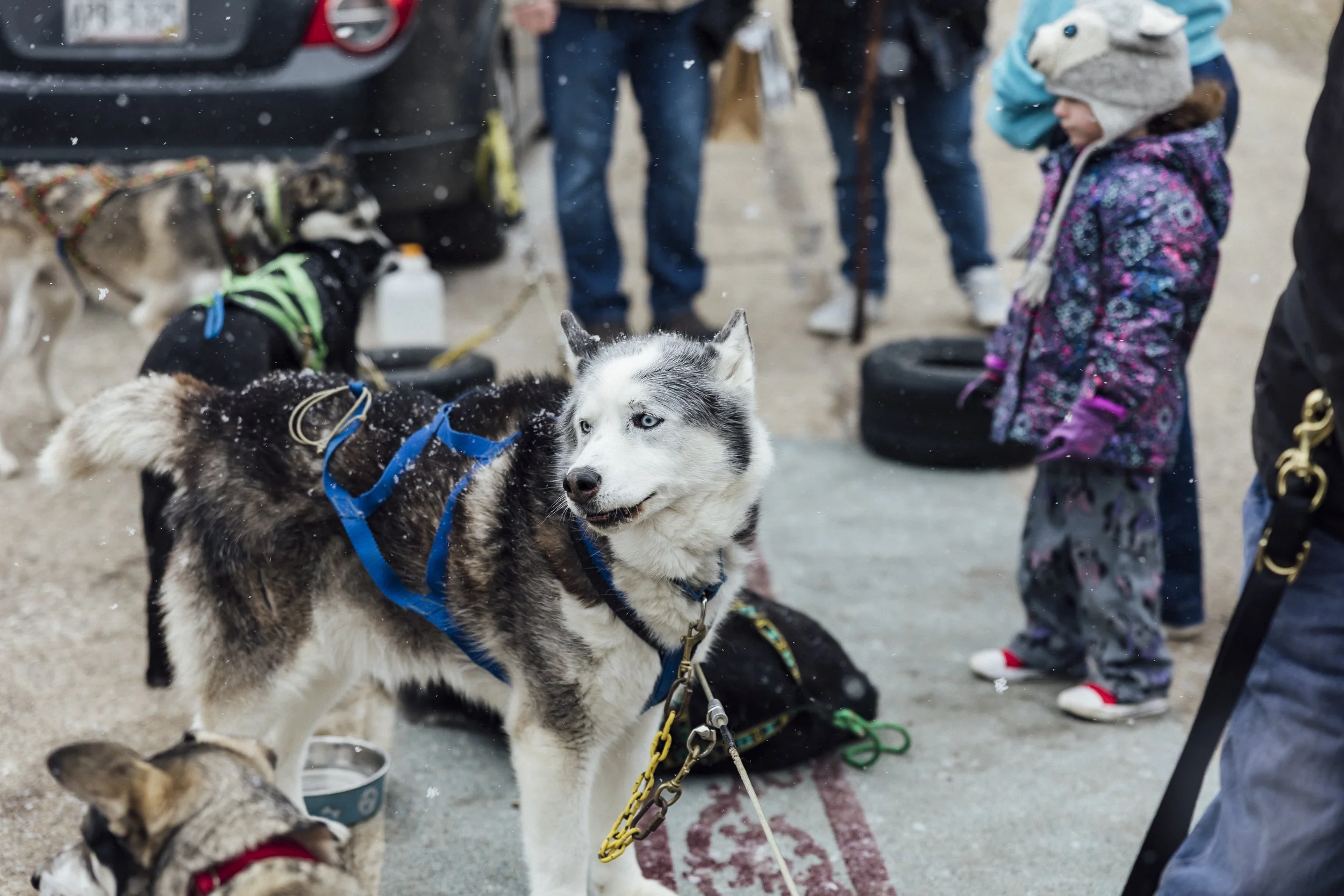 MKE winter break -127.jpg