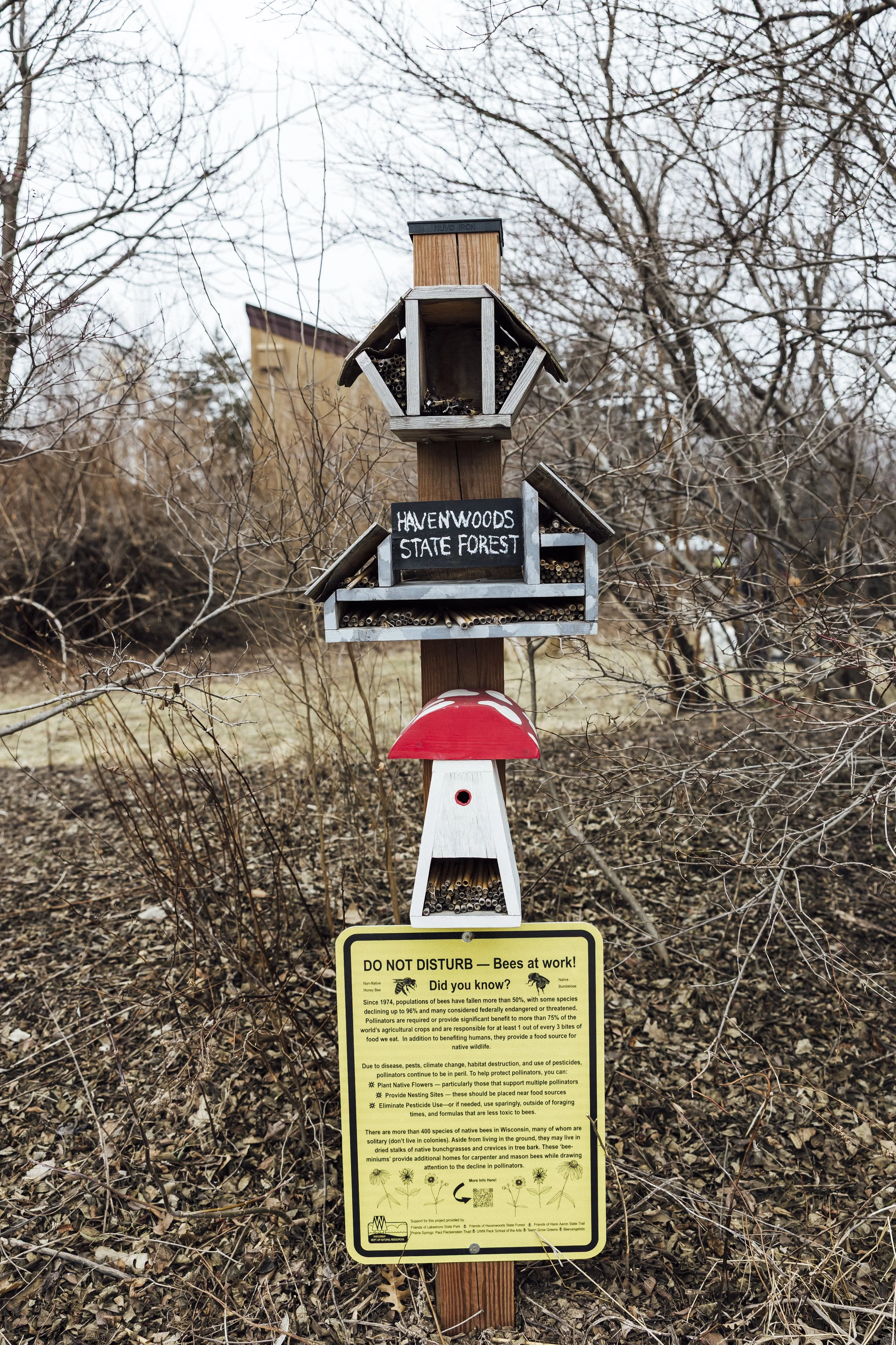 MKE winter break -7.jpg