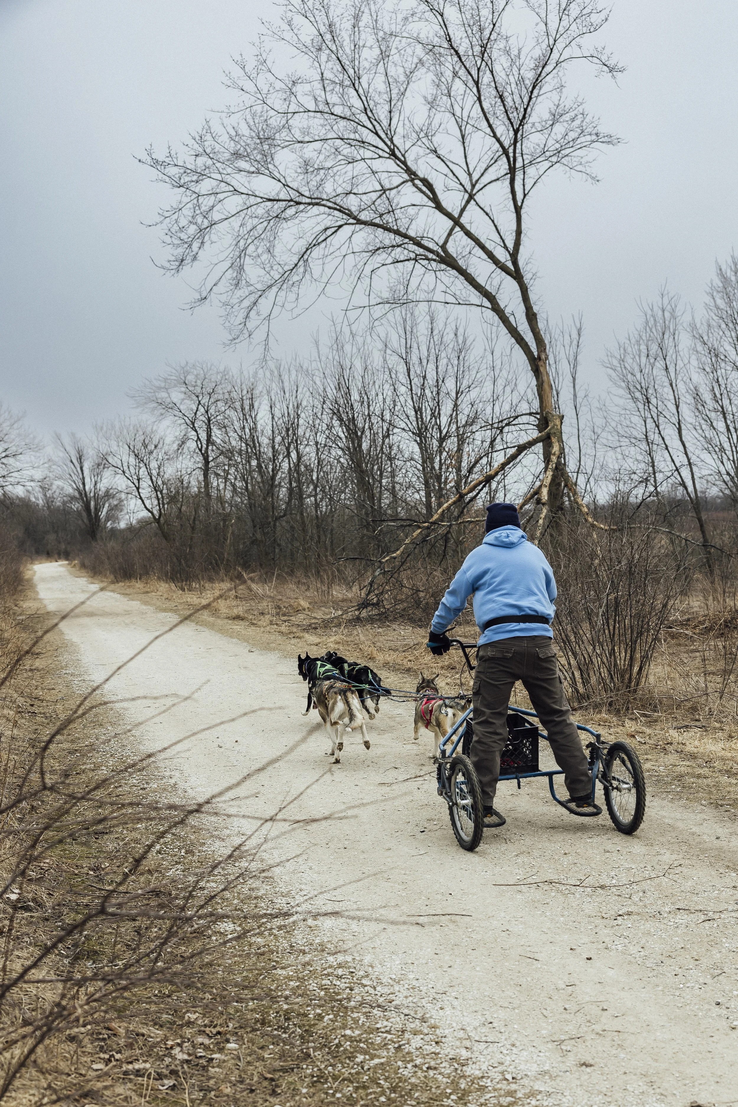 MKE winter break -26.jpg