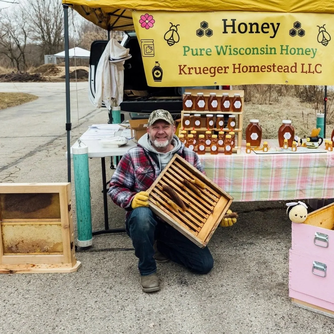 A bee hive in a frame with honeycombs and bees