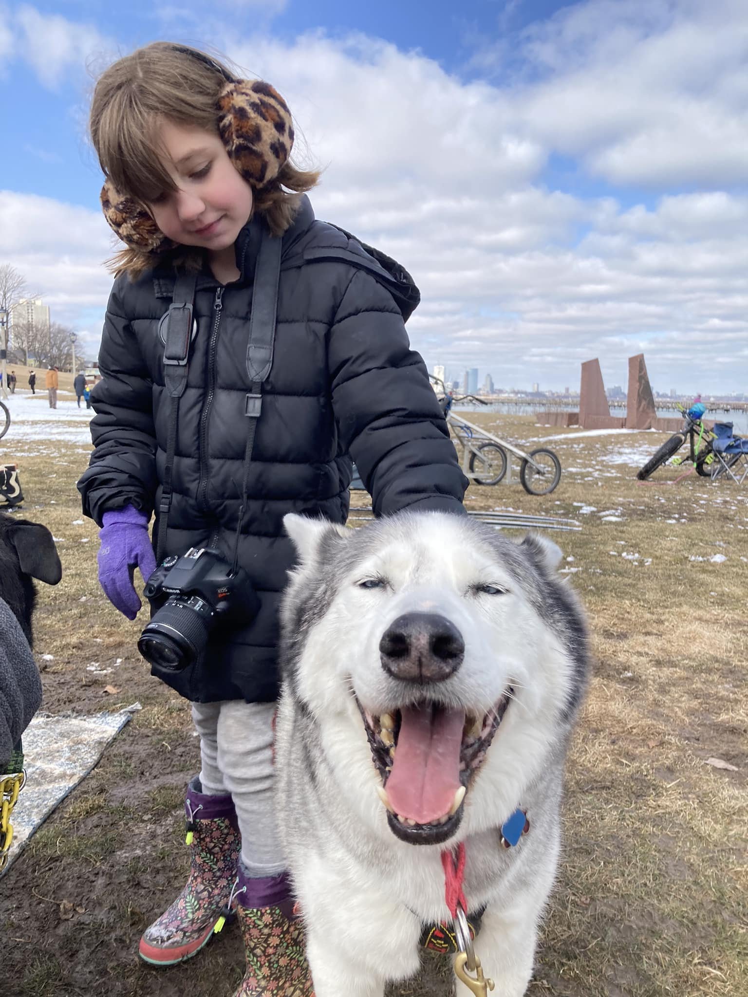Dogs_Eloise_pettingSledDogs.jpeg