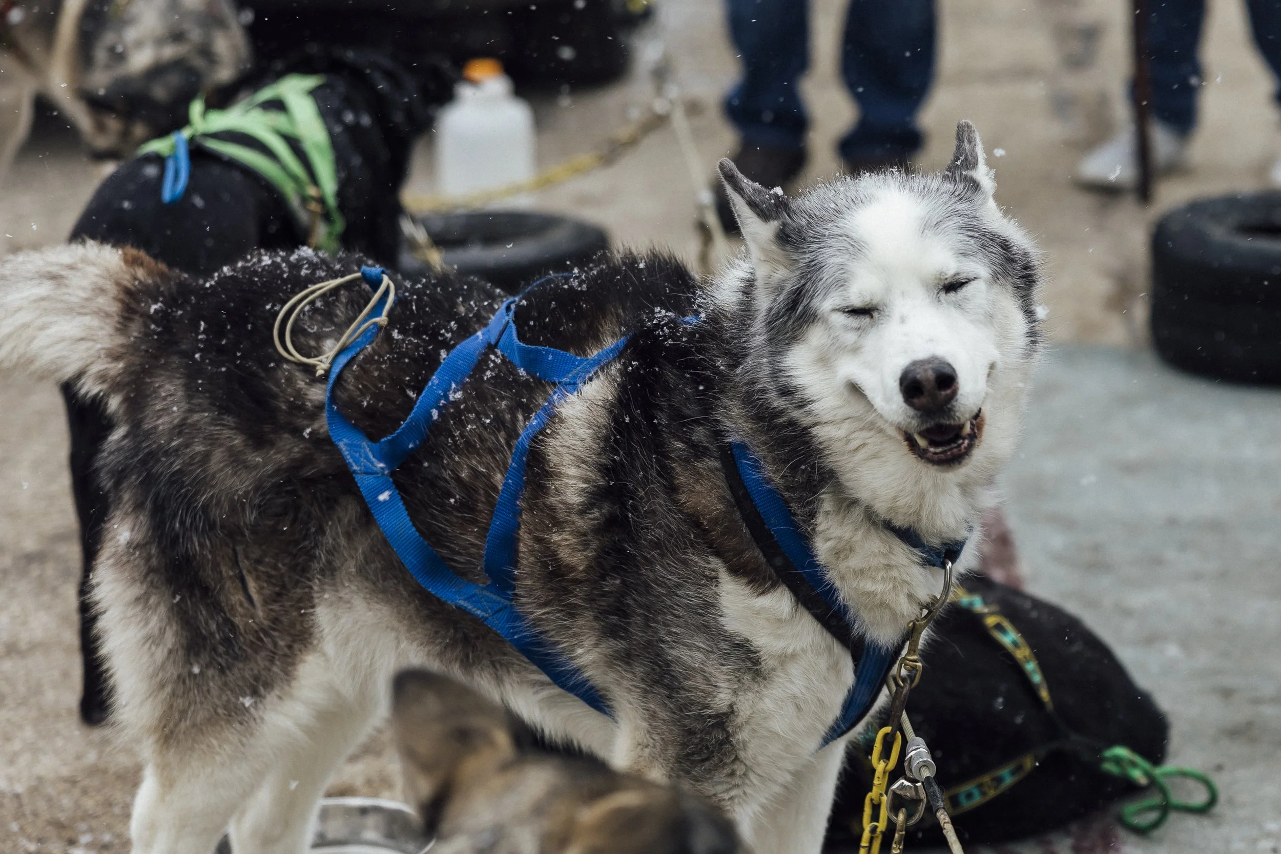MKE winter break -118.jpg