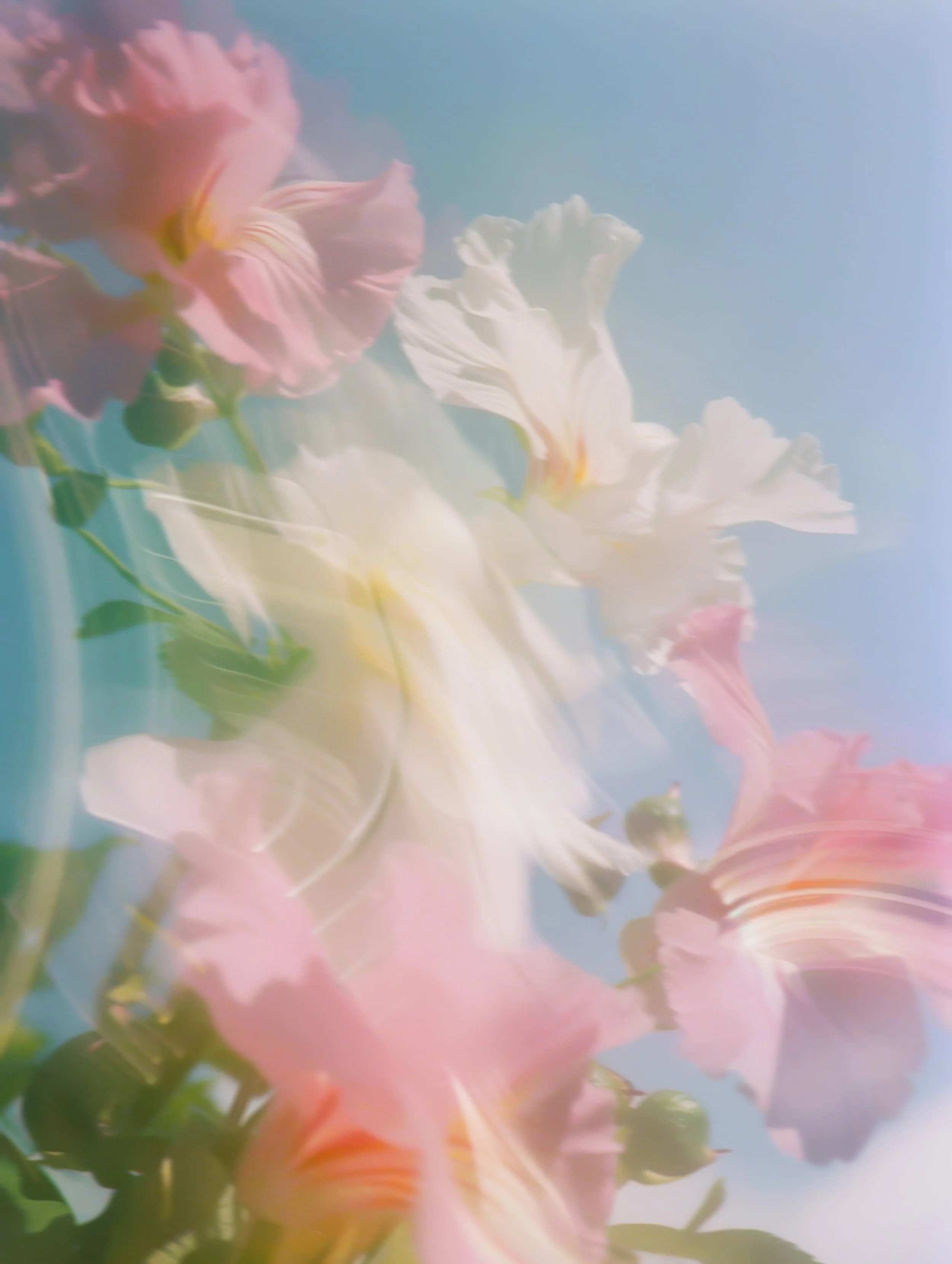 Soft floral and water imagery symbolizing renewal, refreshment, and the Living Water theme of The Watering women’s gathering.