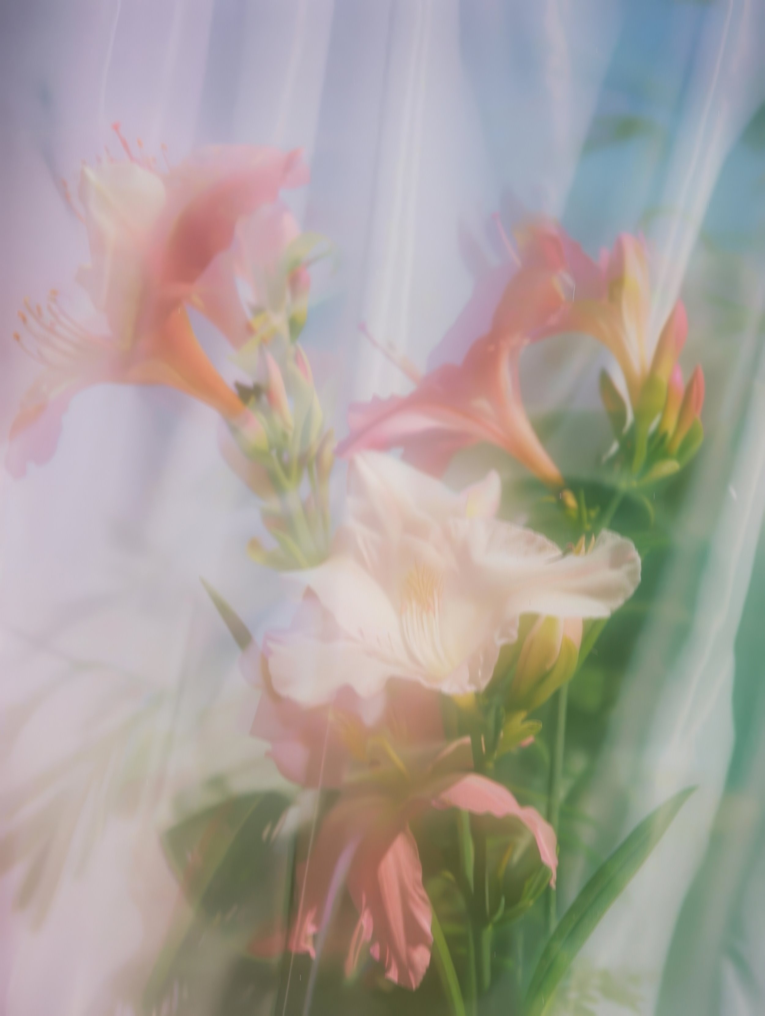 Soft floral and water imagery symbolizing renewal, refreshment, and the Living Water theme of The Watering women’s gathering.