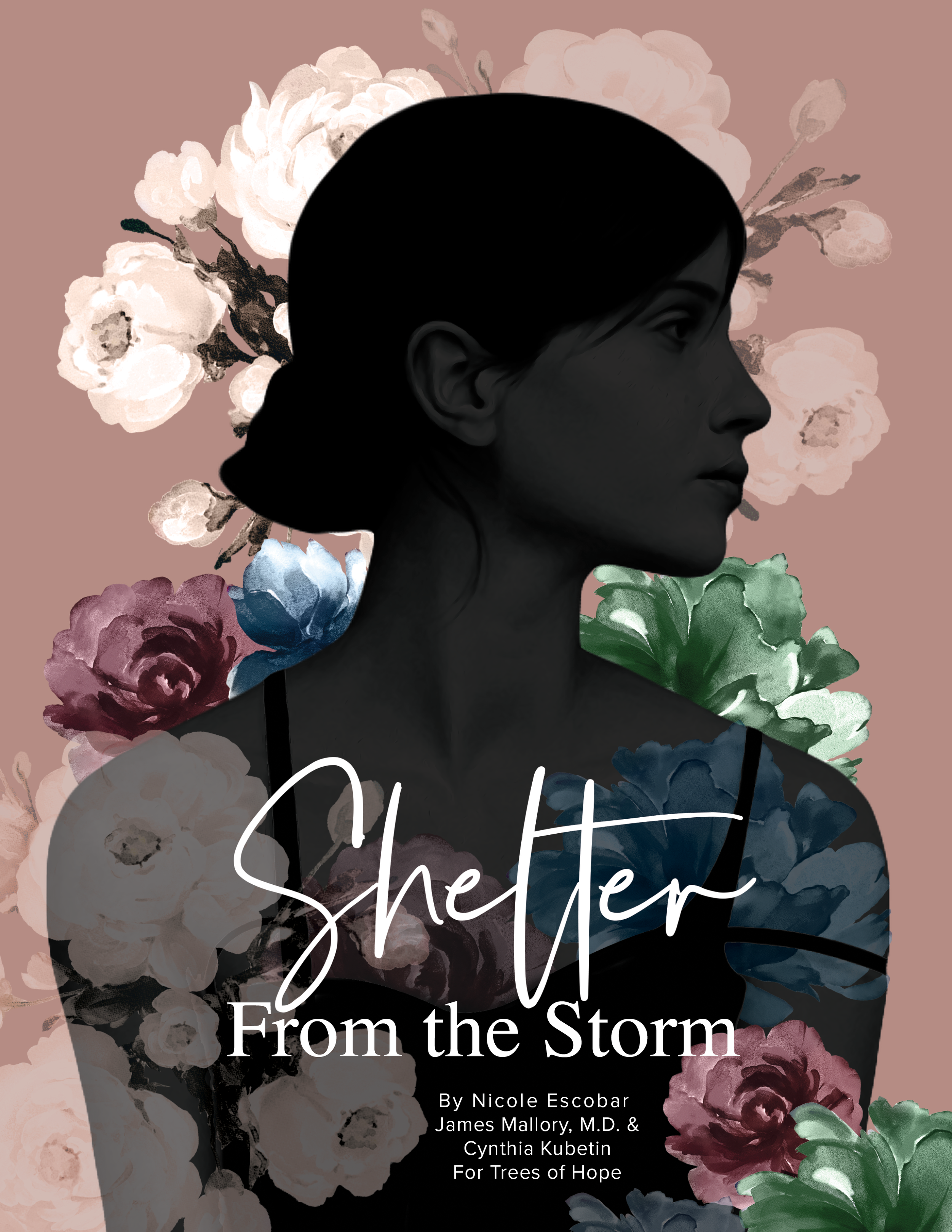 Shelter From The Storm: Sexual Abuse Healing Study For Women (Box of Hope Edition)