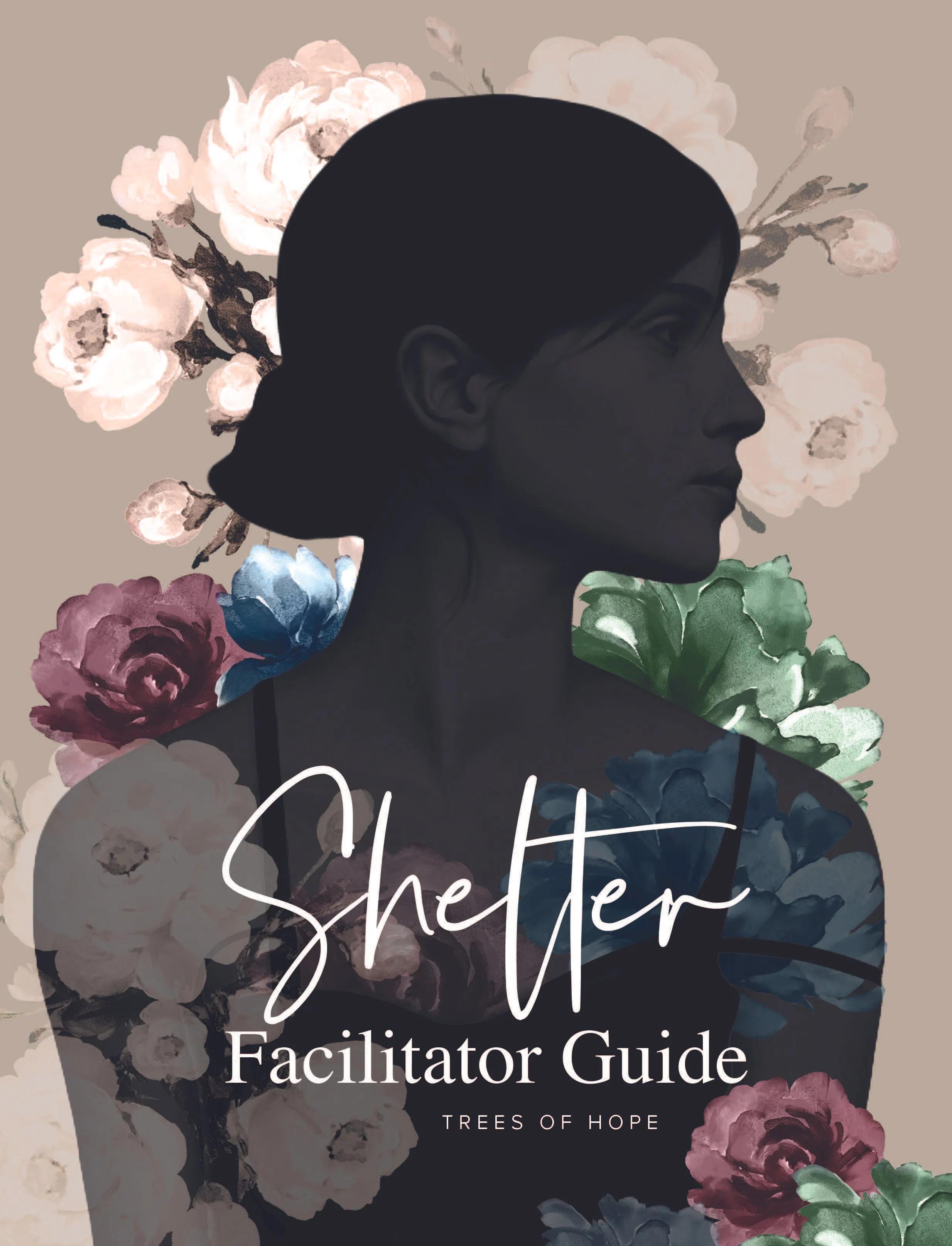 Shelter From The Storm: Facilitator Guide